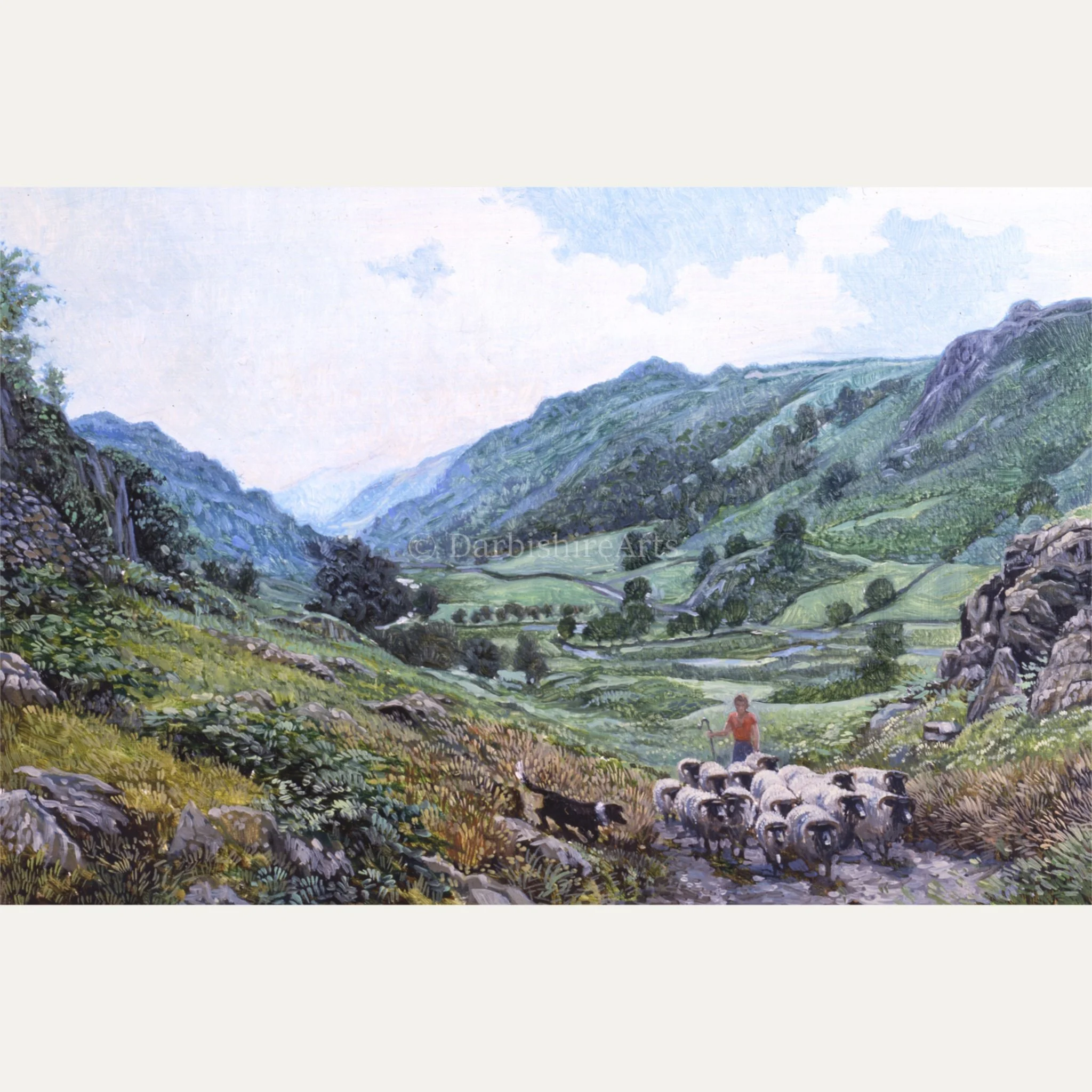 gathering sheep watendlath.JPG