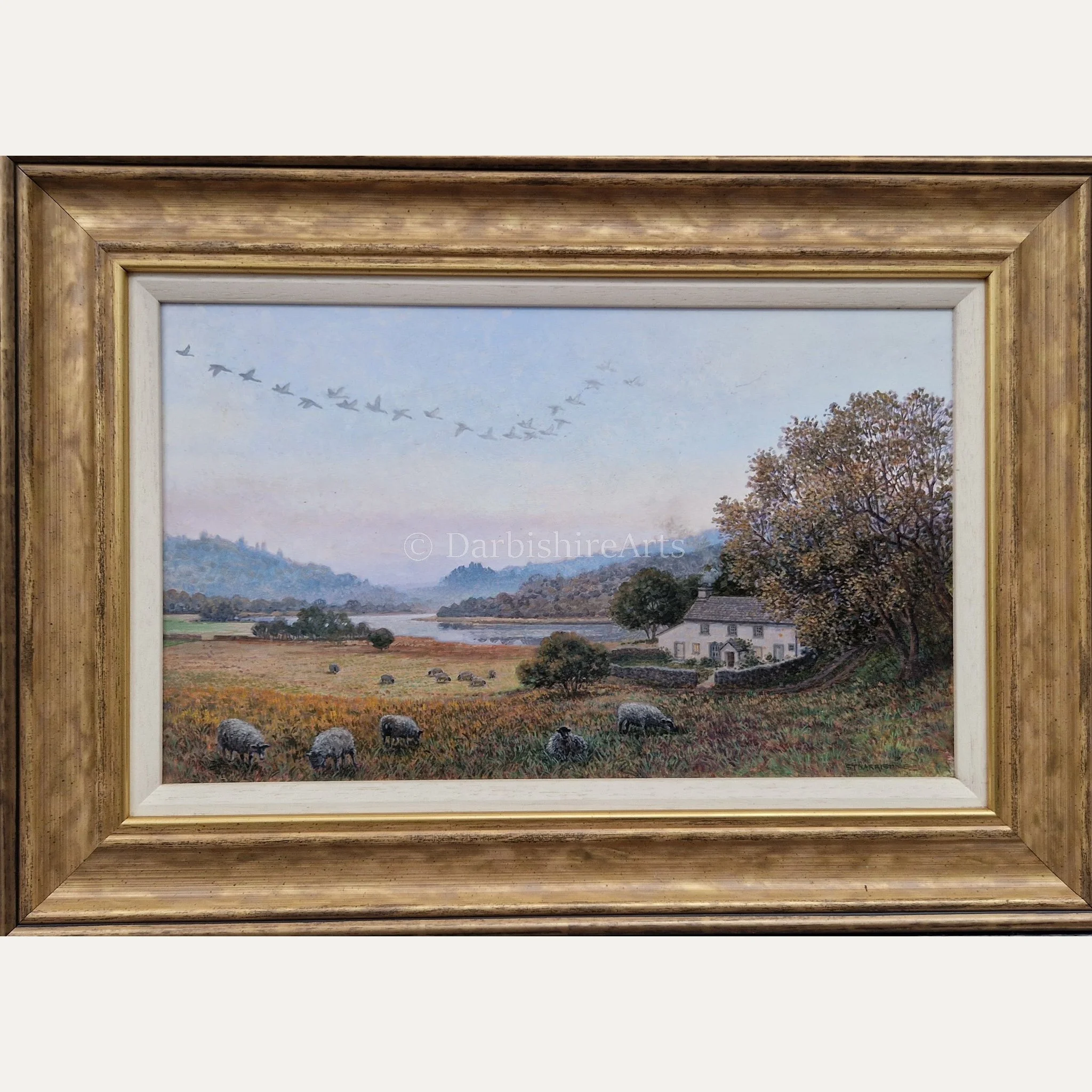 morning mist_frame.JPG