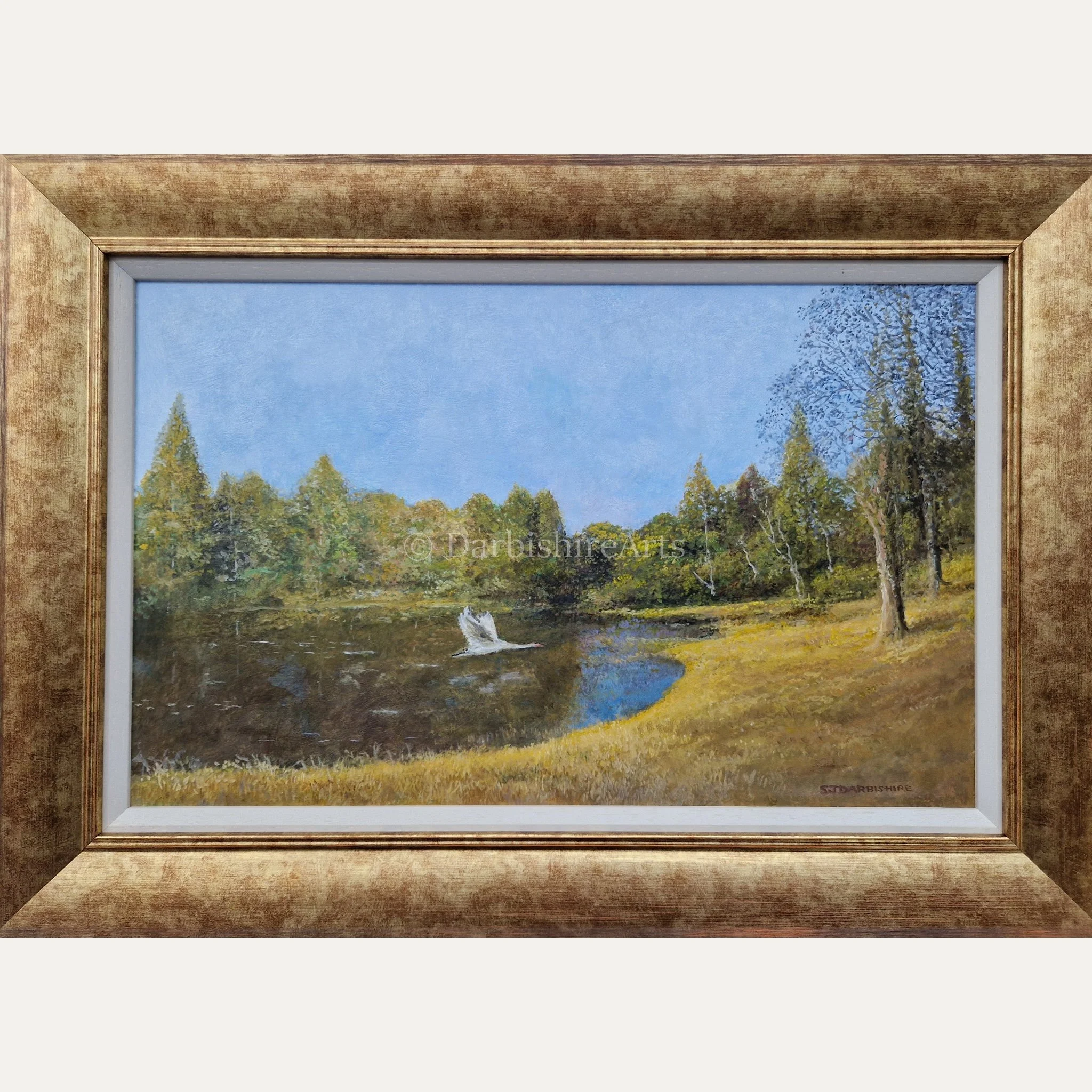 early morning tarn_frame.JPG