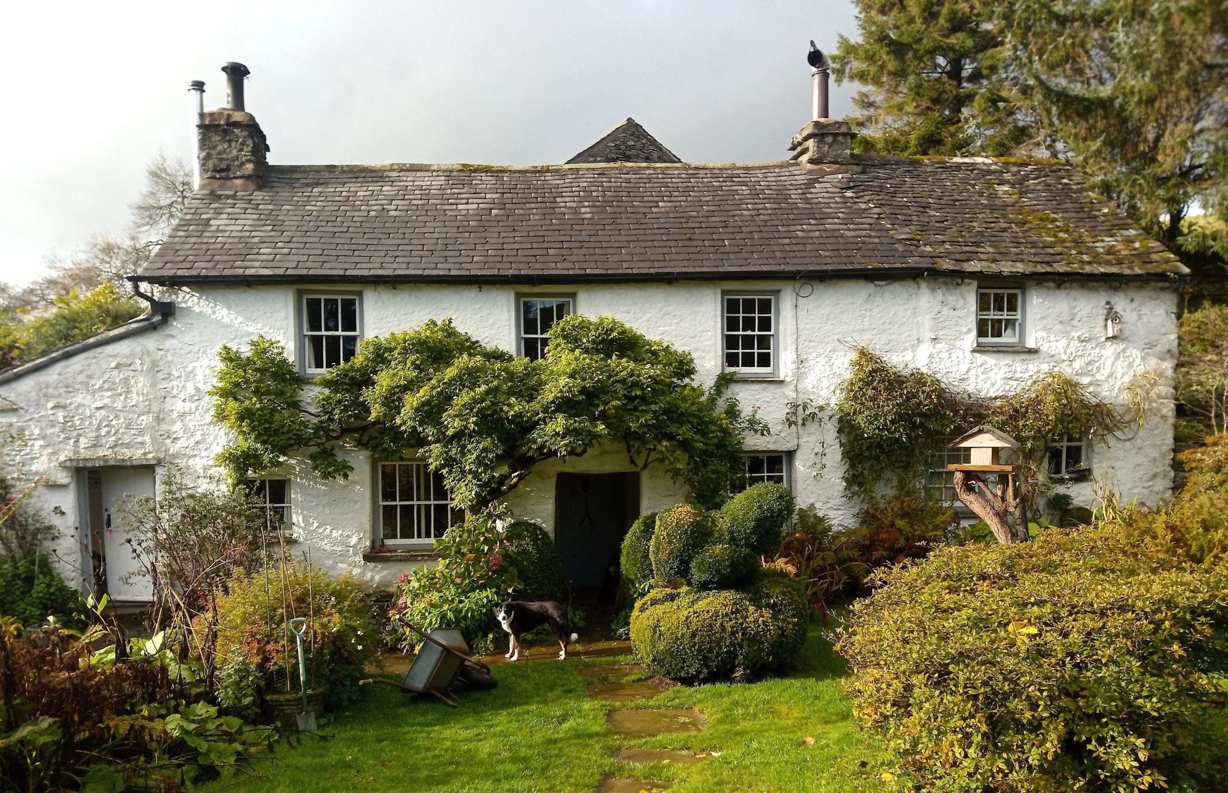 A white, two-story country house with a shingled roof and multiple window panes, surrounded by a lush garden with bushes, trees, and a dog standing near the door.