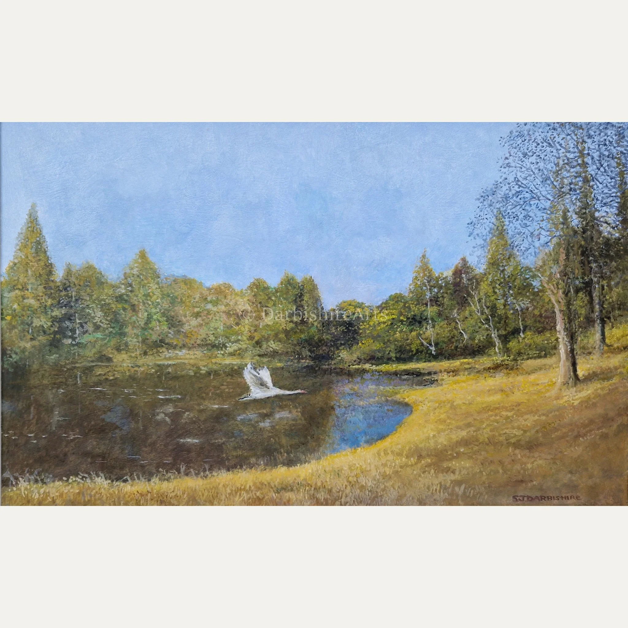 early morning tarn.JPG