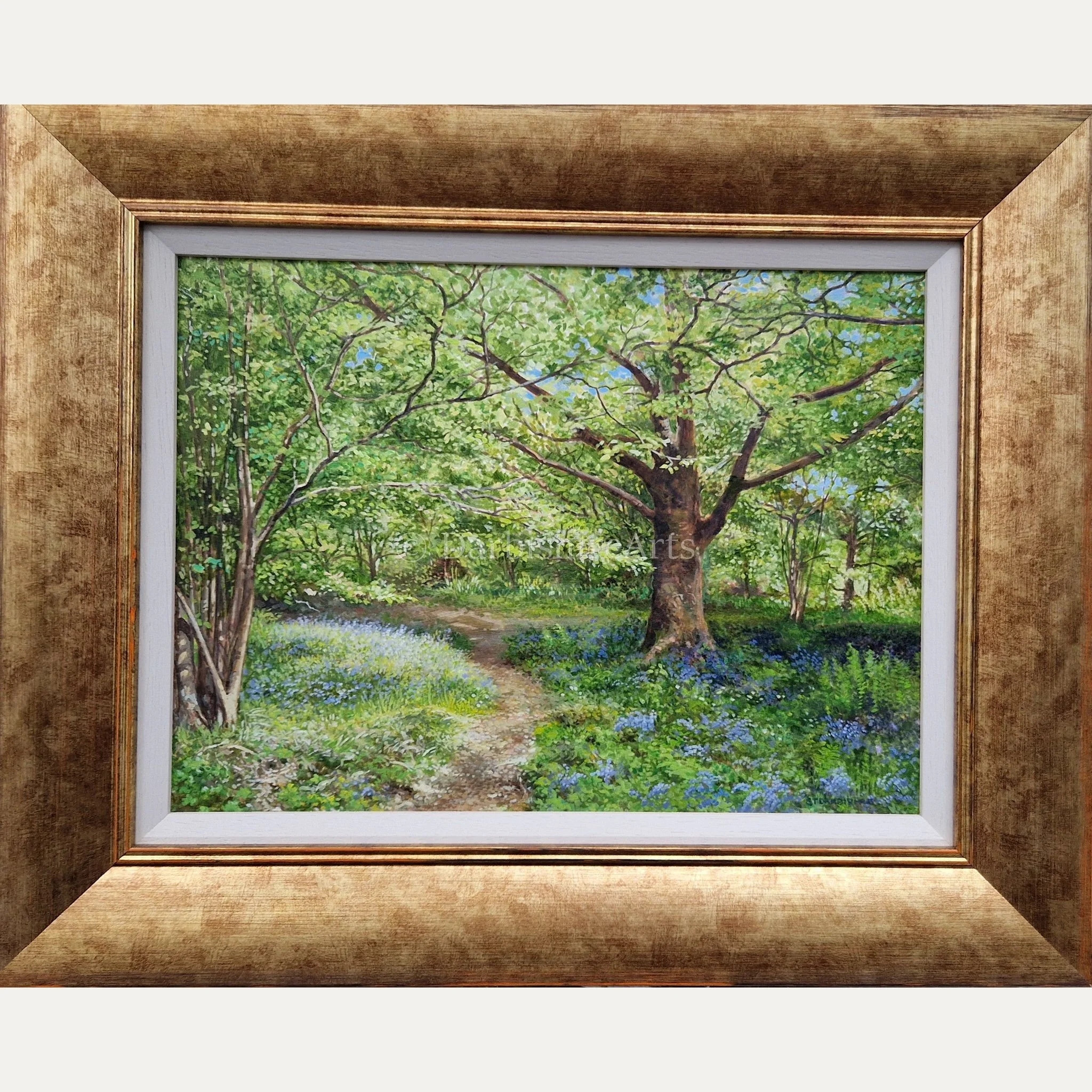 walk through bluebells_frame.JPG