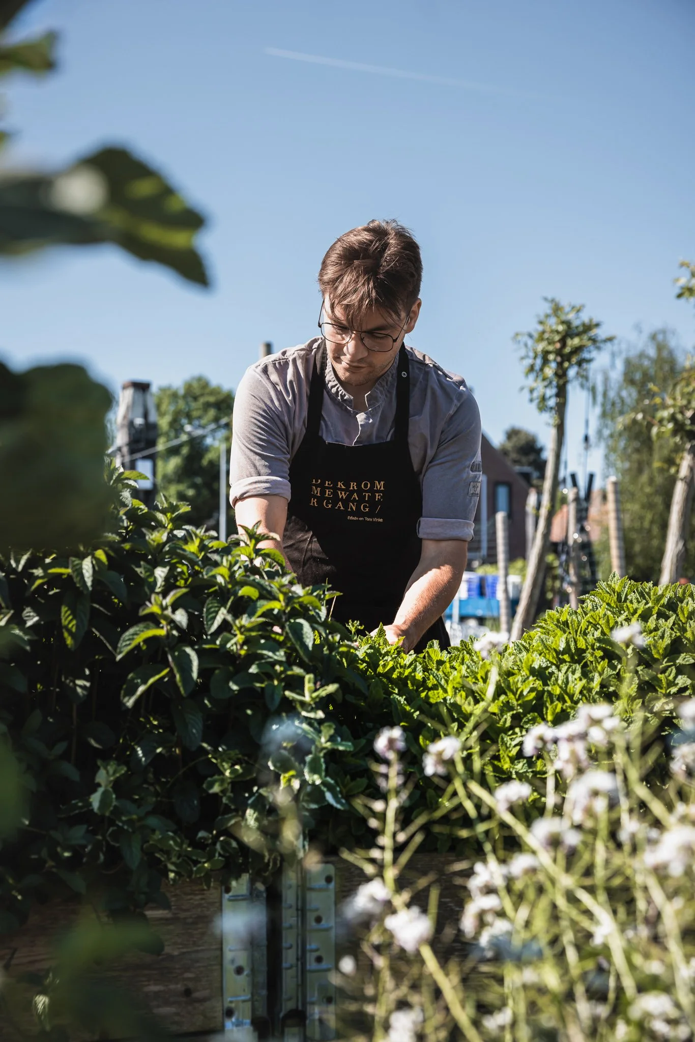 Vegetarisch food festival