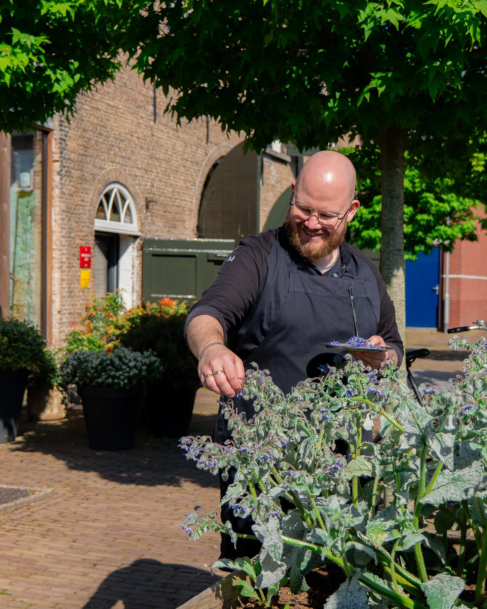 Joey van Heesbeen, sterrenchef bij Michelinrestaurant 1857 - Chefs in het Bos festival 2026. De topchef plukt verfijnde, verse eetbare bloemen in de natuur om zijn gerechten een unieke, zintuiglijke smaakbeleving te geven.