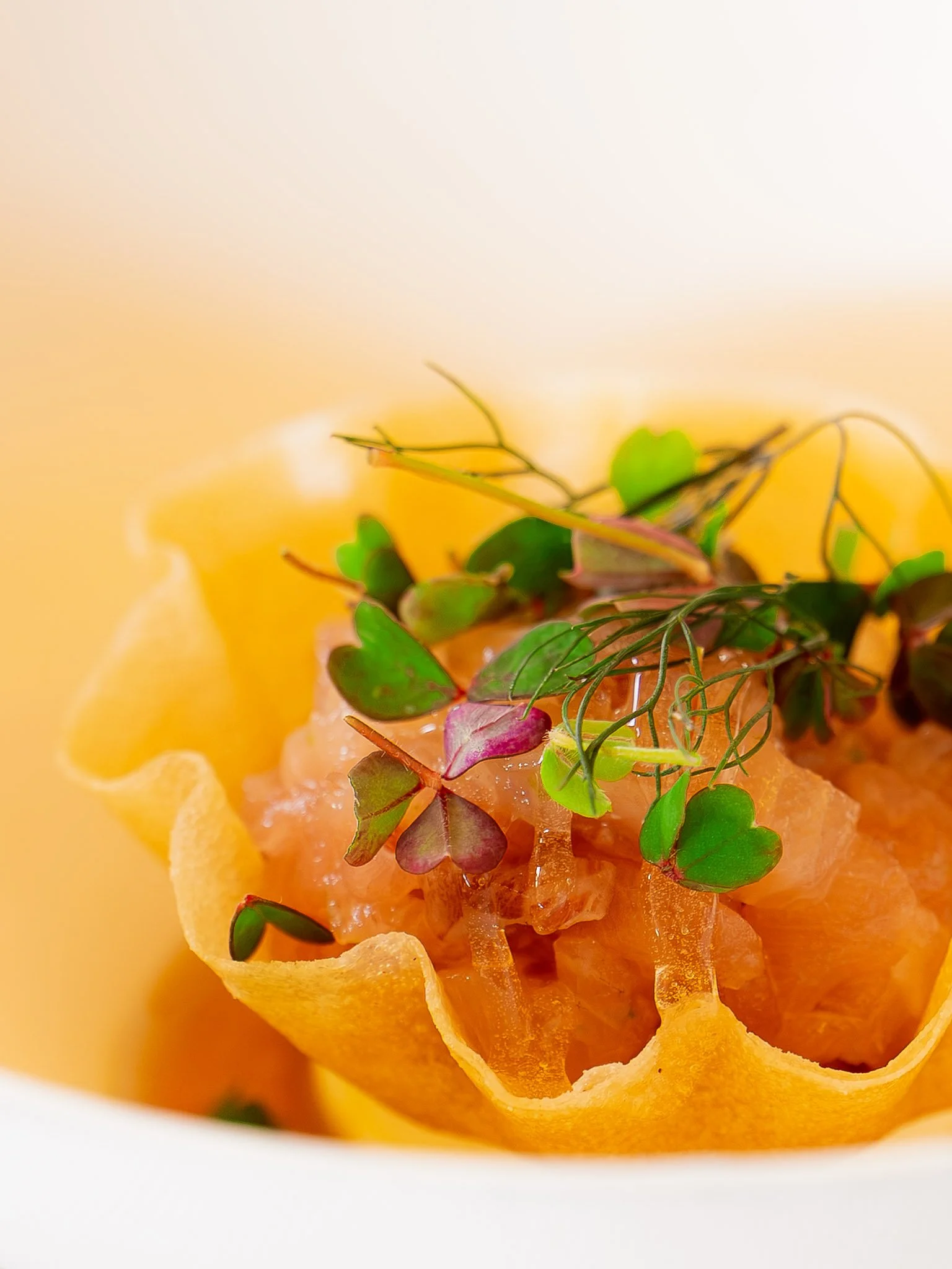 Chefs in het Bos _ Weekend 01-071.jpg