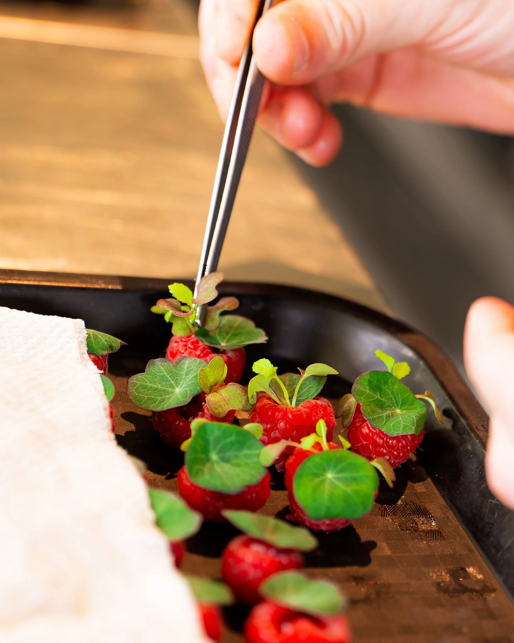Chefs in het Bos _ Weekend 01-134.jpg