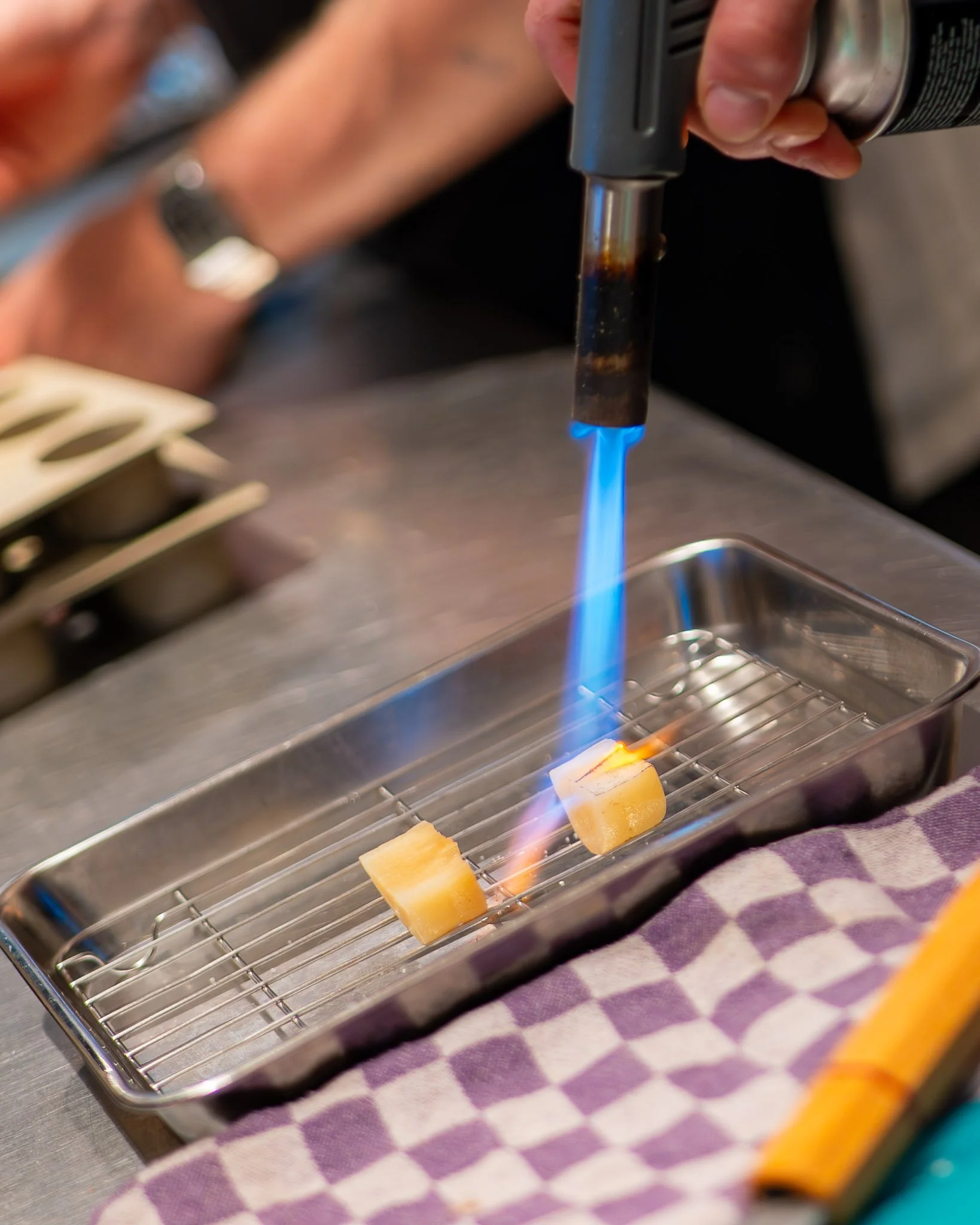 Wouter van Laarhoven, sterrenchef bij Michelinrestaurant Alma - Chefs in het Bos festival 2026. De topchef bereidt met pure bezieling een zintuiglijk en innovatief gerecht voor het Roots of 2050 thema op het gastronomische outdoor foodfestival.