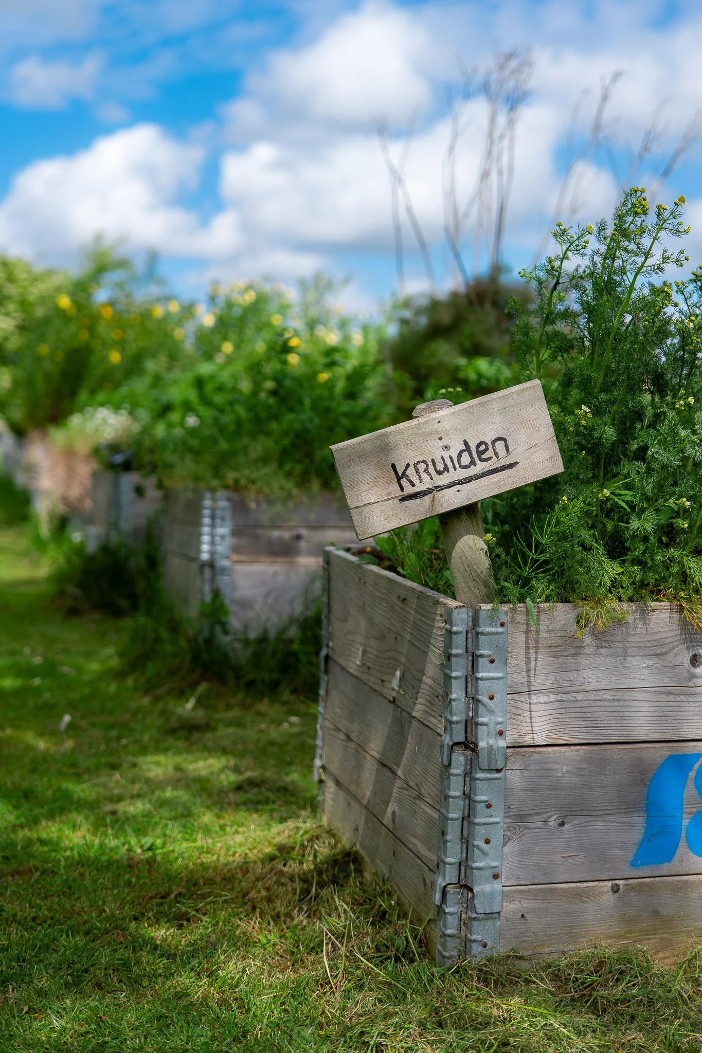 Tom Vinke, sterrenchef bij Michelinrestaurant De Kromme Watergang - Chefs in het Bos festival 2026. Hij verzamelt verse ingrediënten in zijn moestuin.
