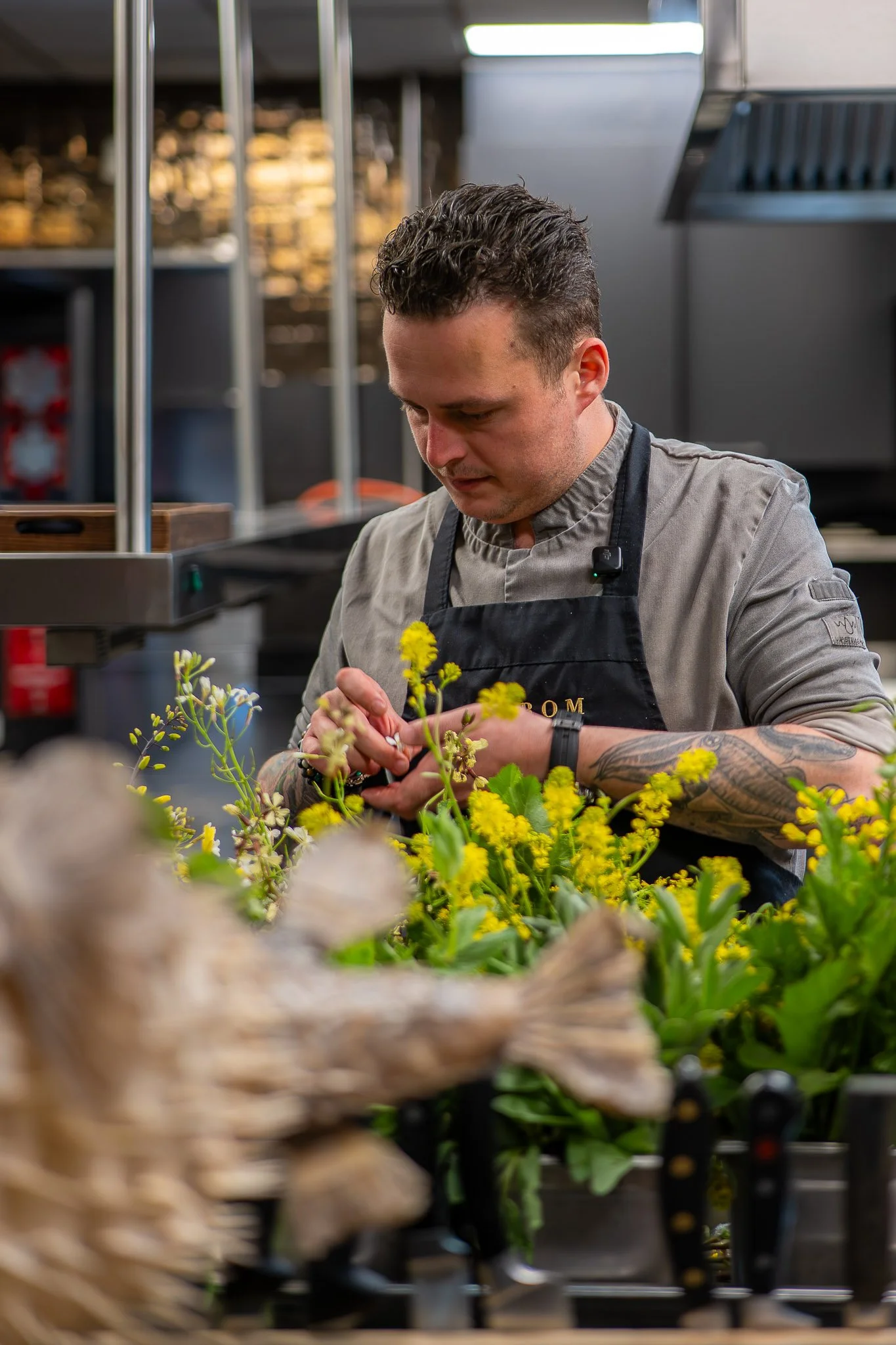 Tom Vinke, sterrenchef bij Michelinrestaurant De Kromme Watergang - Chefs in het Bos festival 2026.