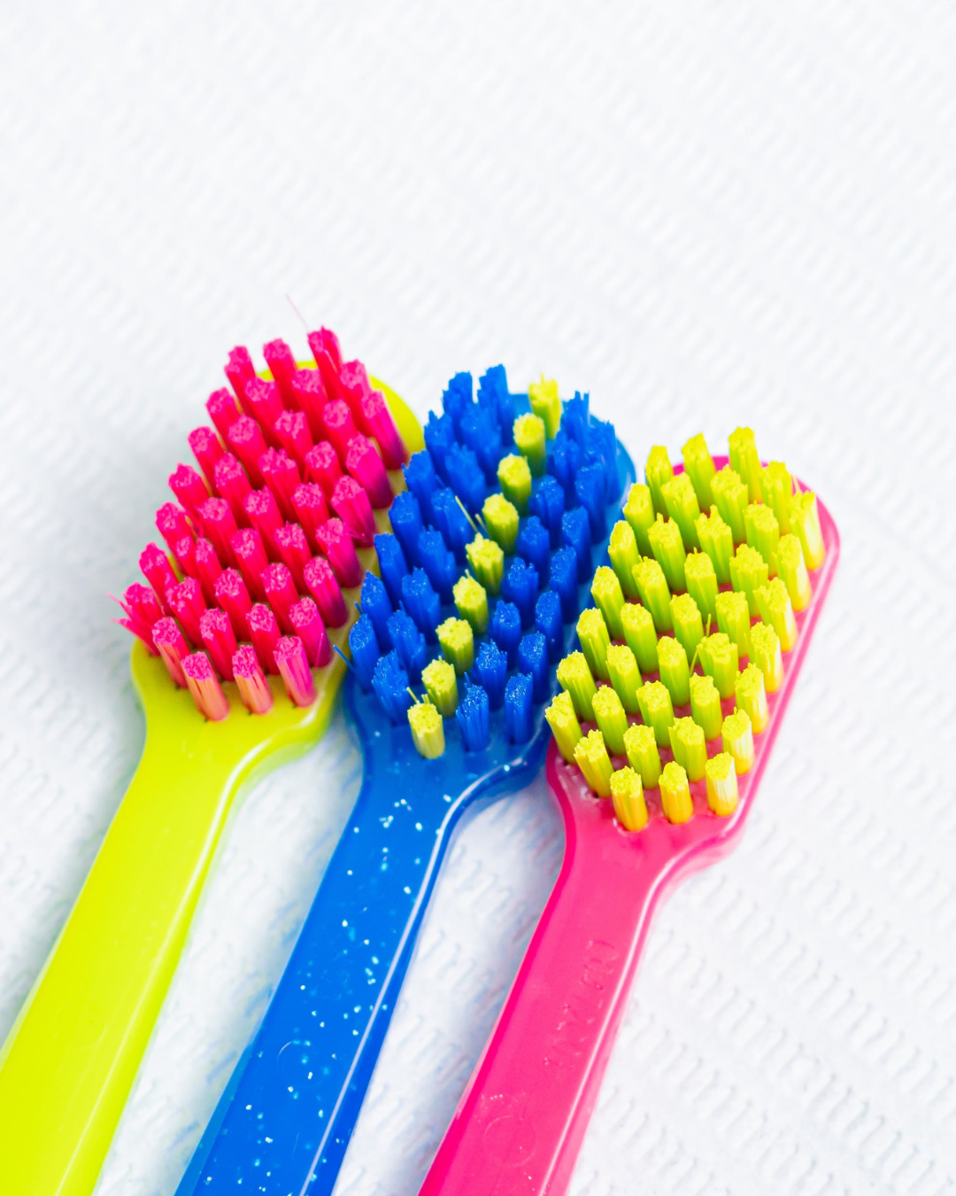 The Secret Life of Your Toothbrush