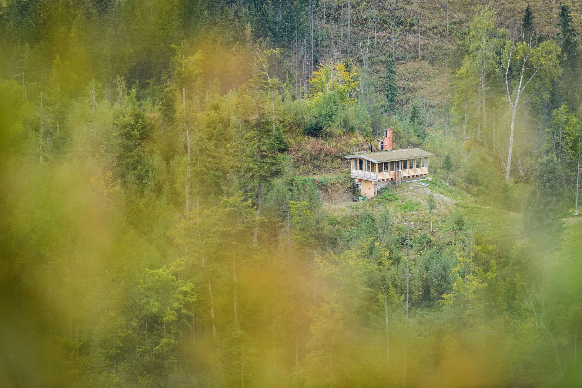 Profile photo013.jpg