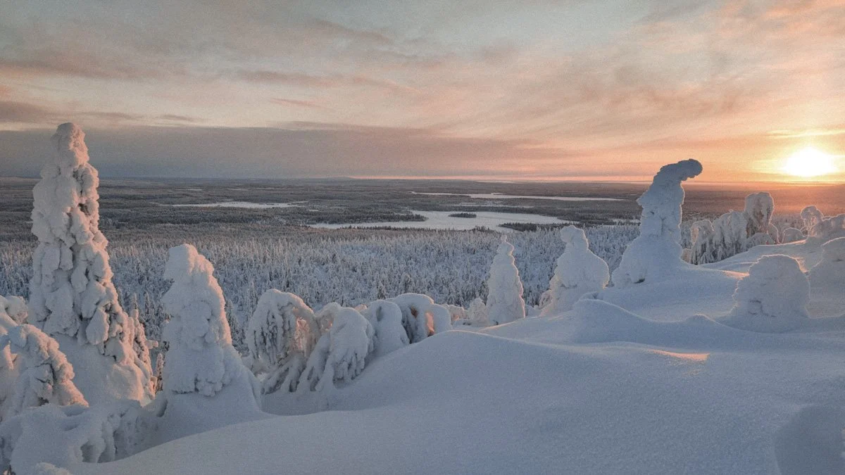FRAM_TFE_Finnland-47.jpg