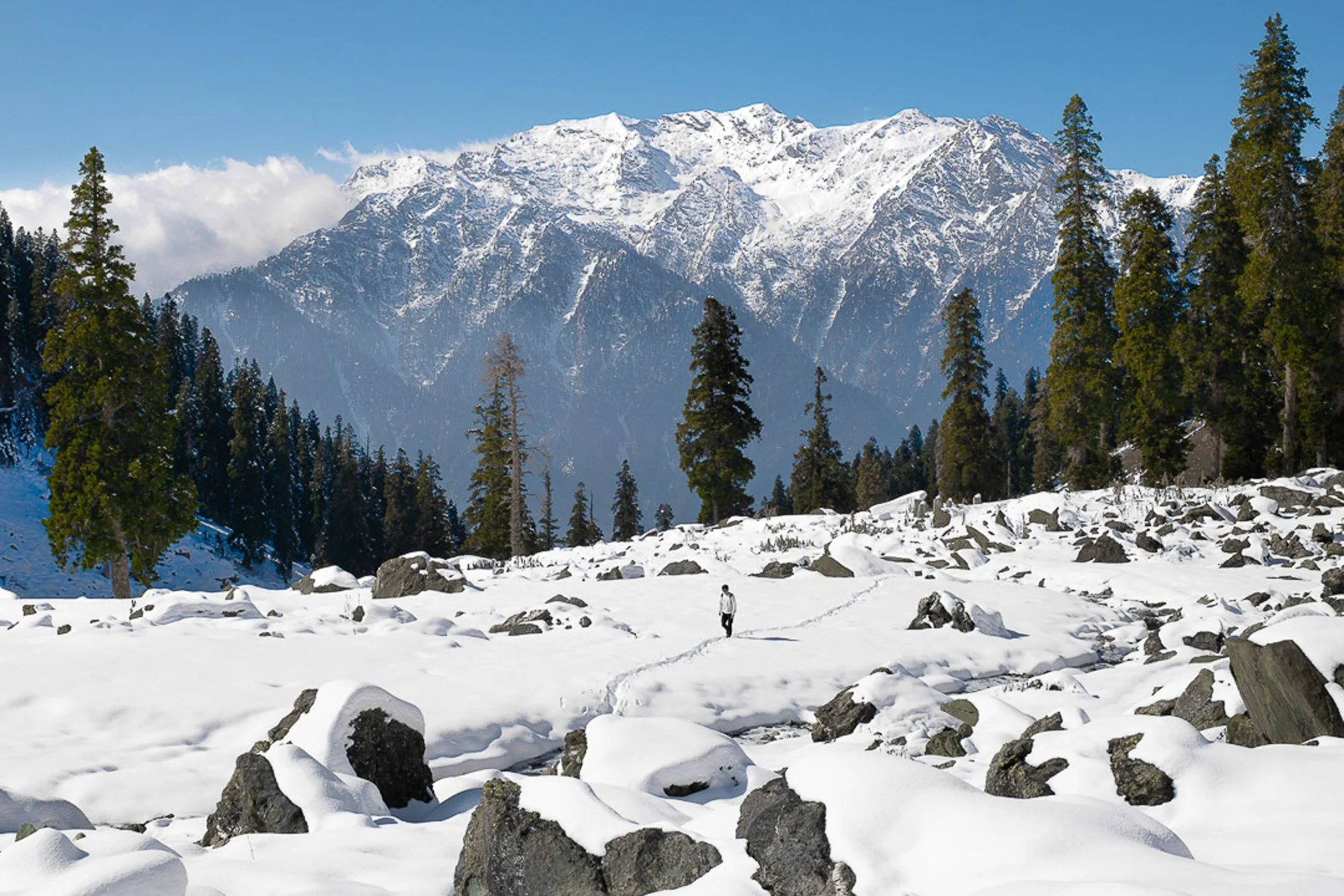 Web_Pakistan-22.jpg