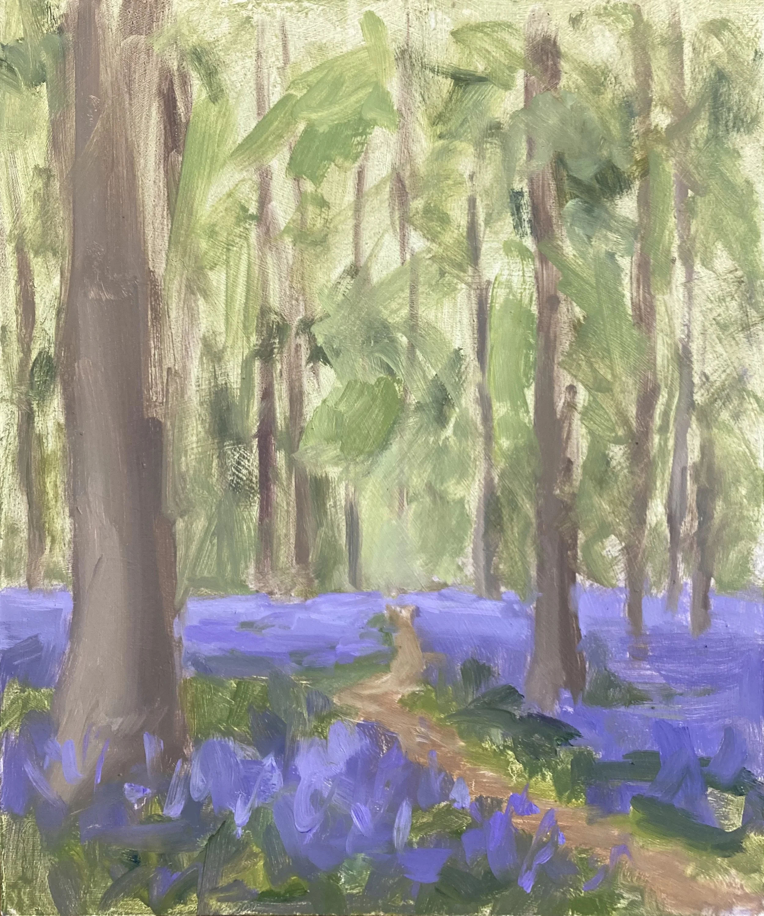 Bluebell Woods