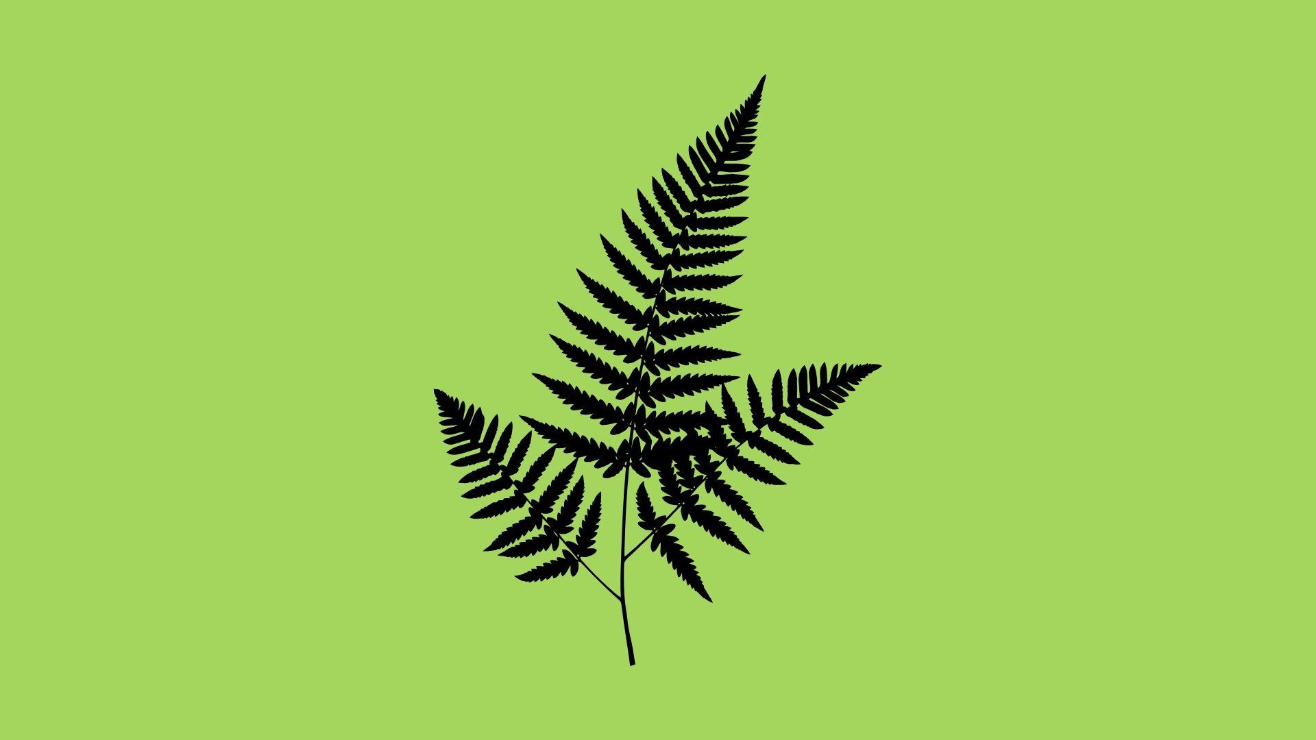 Hackney Plants Stories