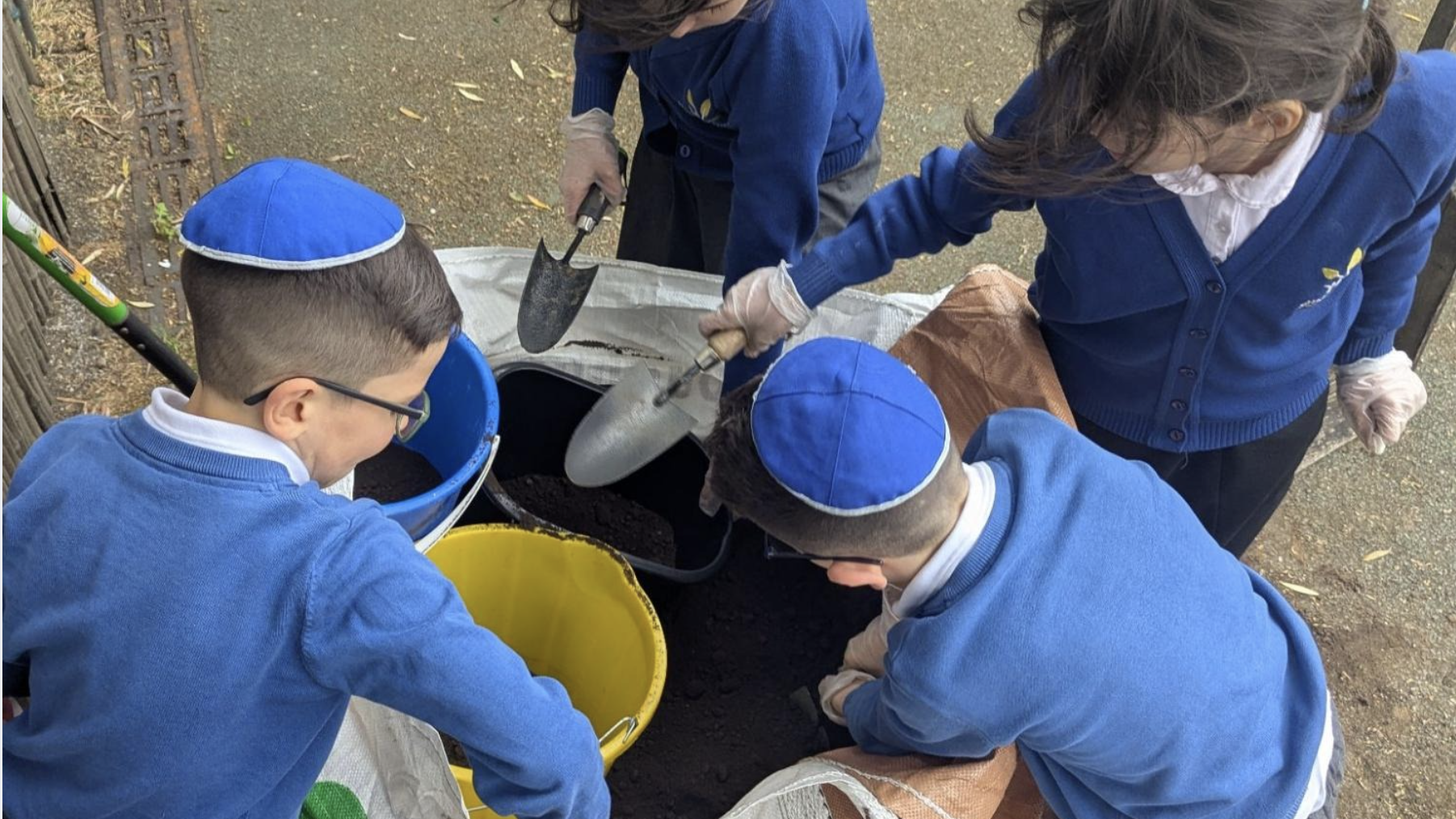A group of children dig the earth to plant something