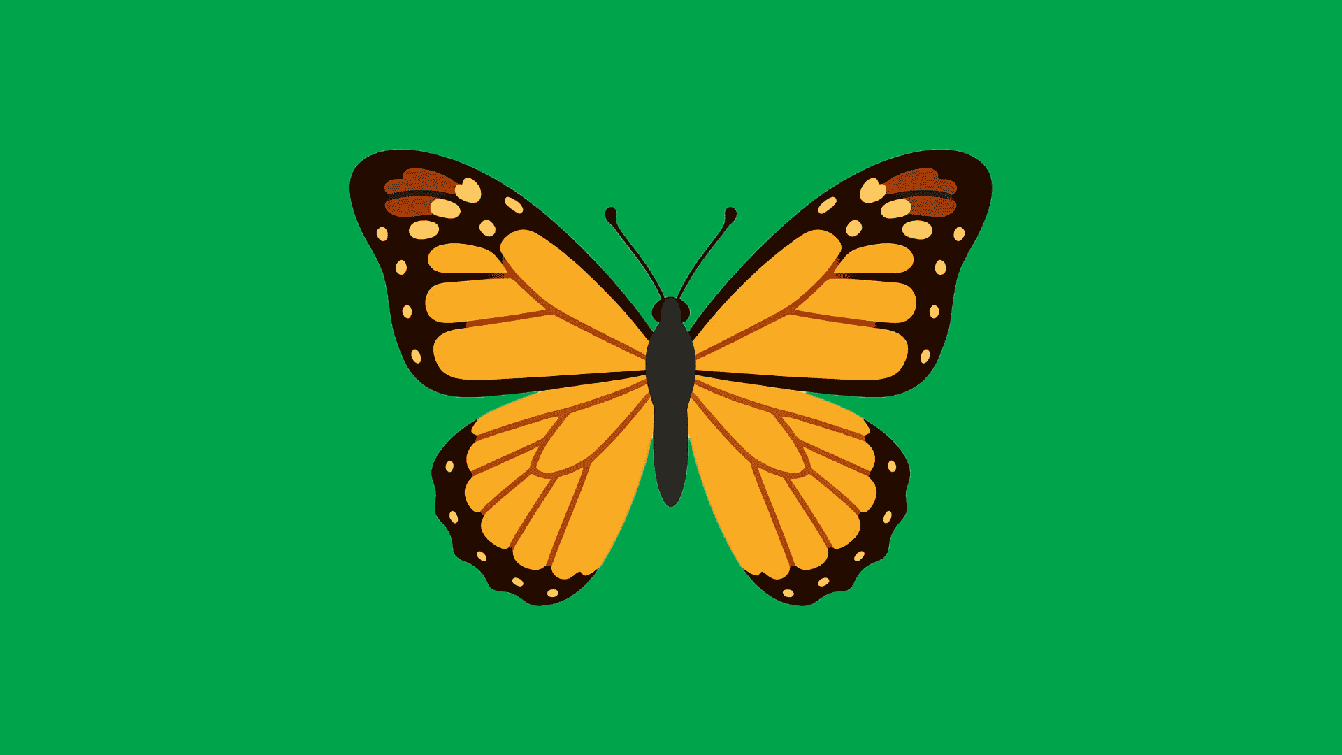 Make a Fluttering Butterfly