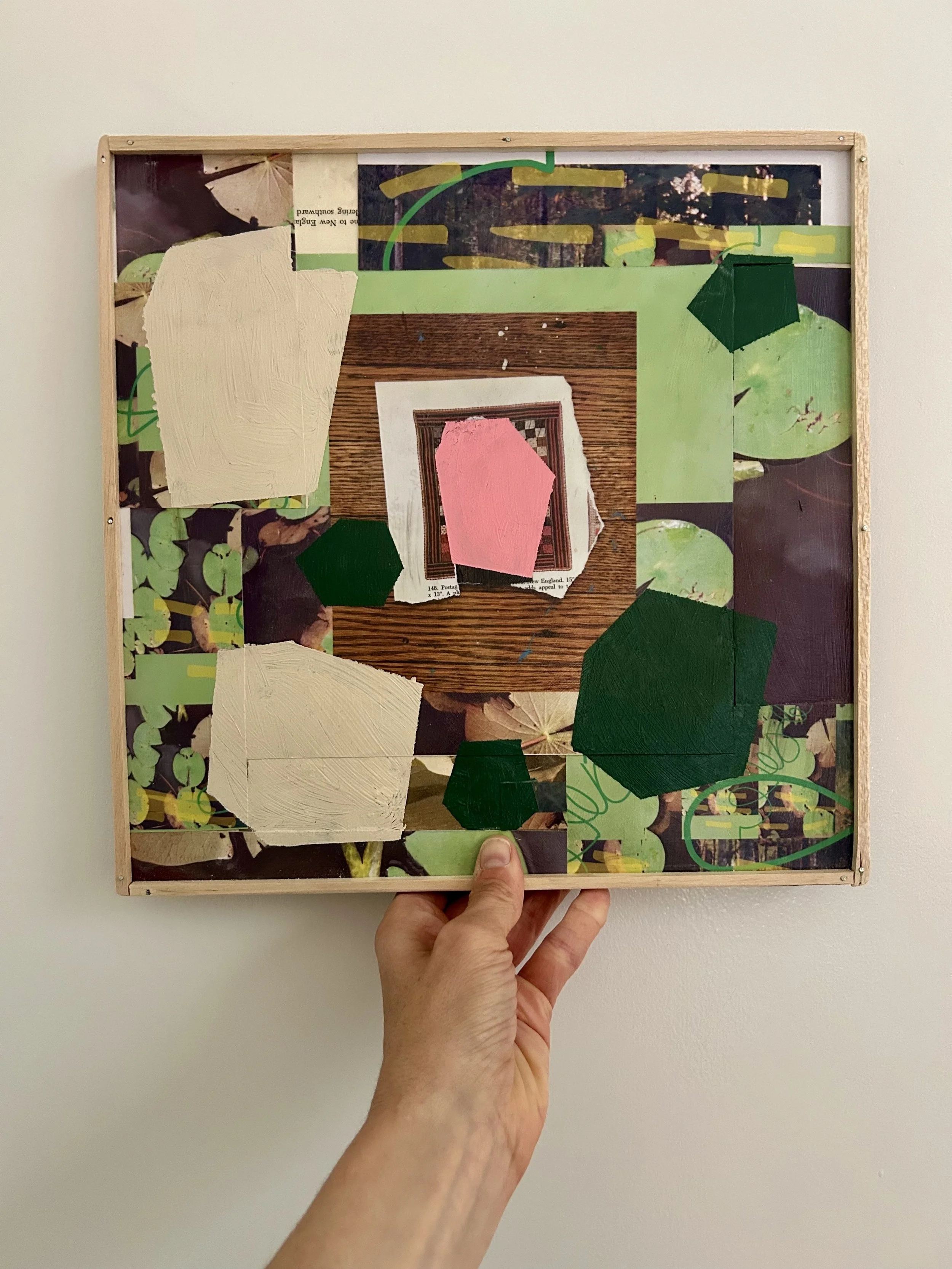 MuseumofOrdinaryValues, Lilly Pads.jpg