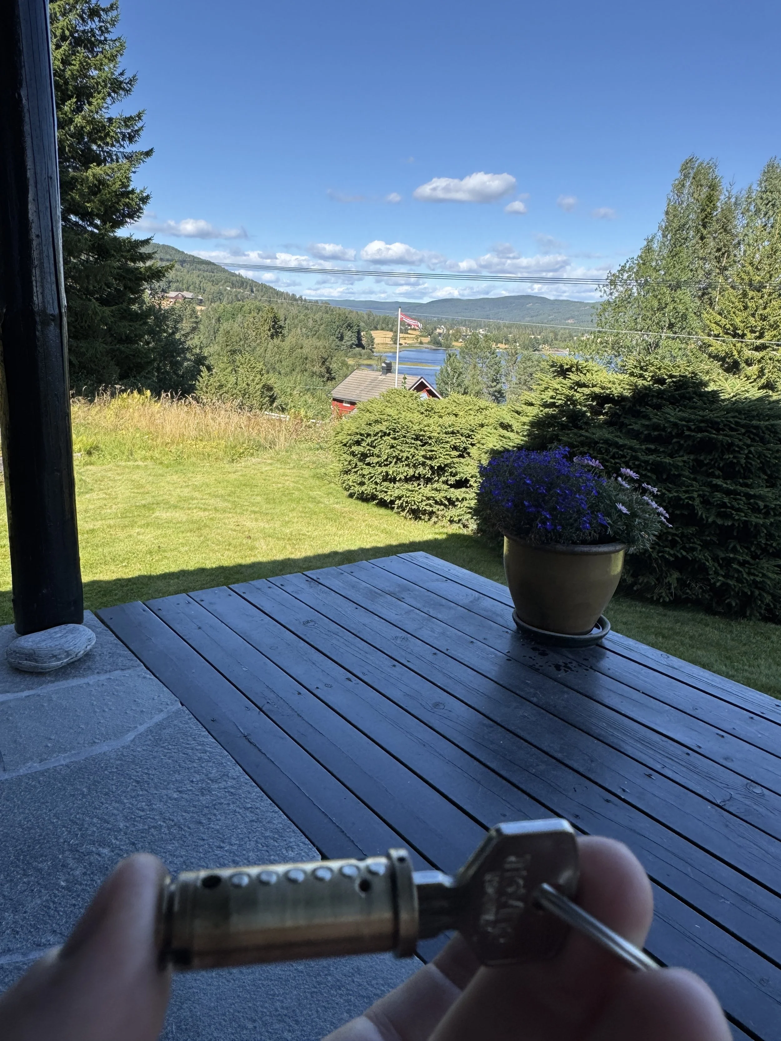 Utsikt fra en veranda med en plastblomst i en krukke, utsikt over en hage med grønne busker, en innsjø, fjell i bakgrunnen, og en blå himmel med noen skyer.