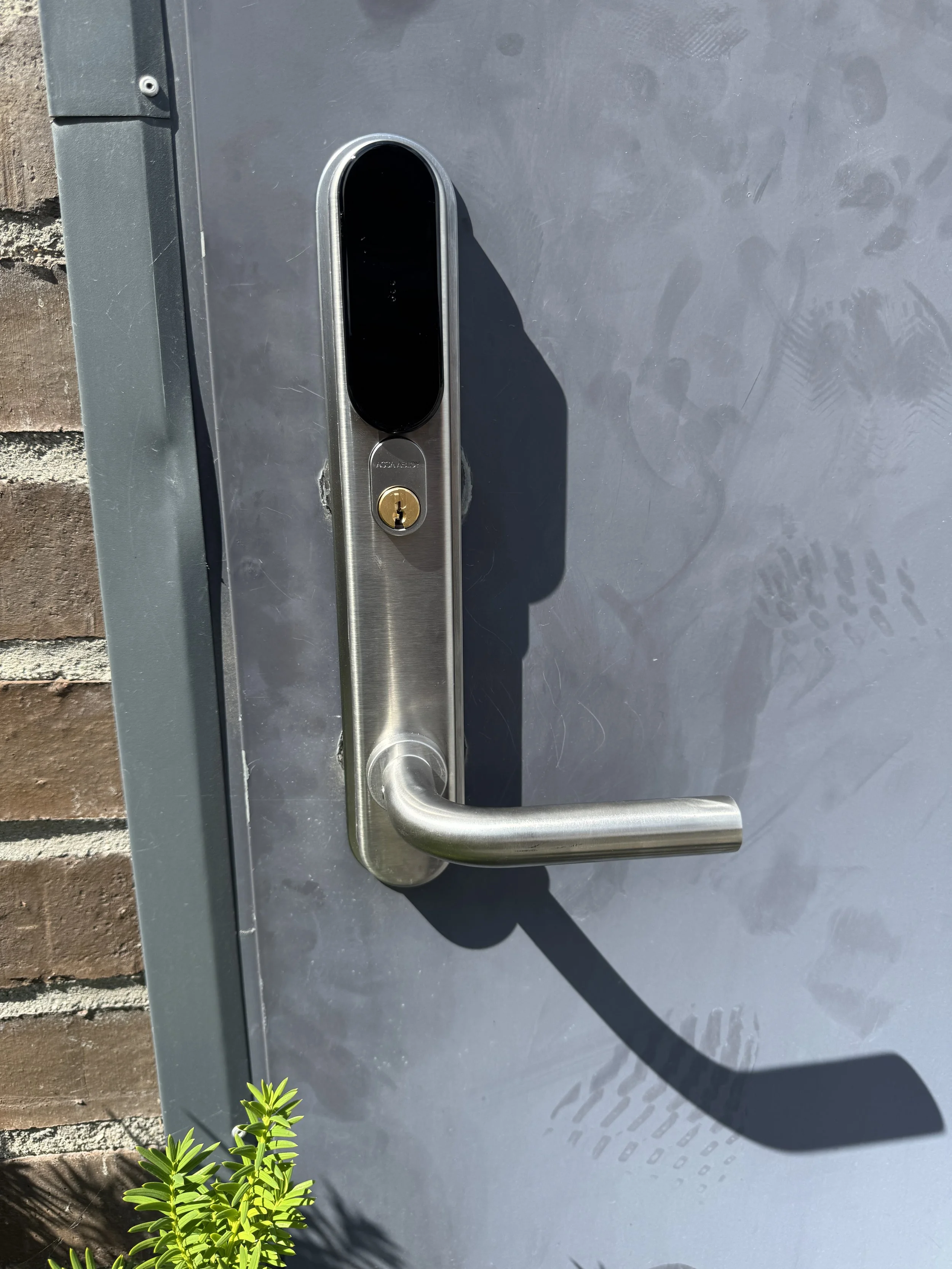 Støpejernsdør med metallhåndtak, nøkkellås, og en liten grønn plante foran.