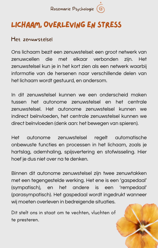 E-book inhoudspagina