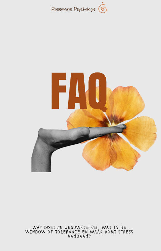 Psycho-educatie lichaam, stress en regulatie.png