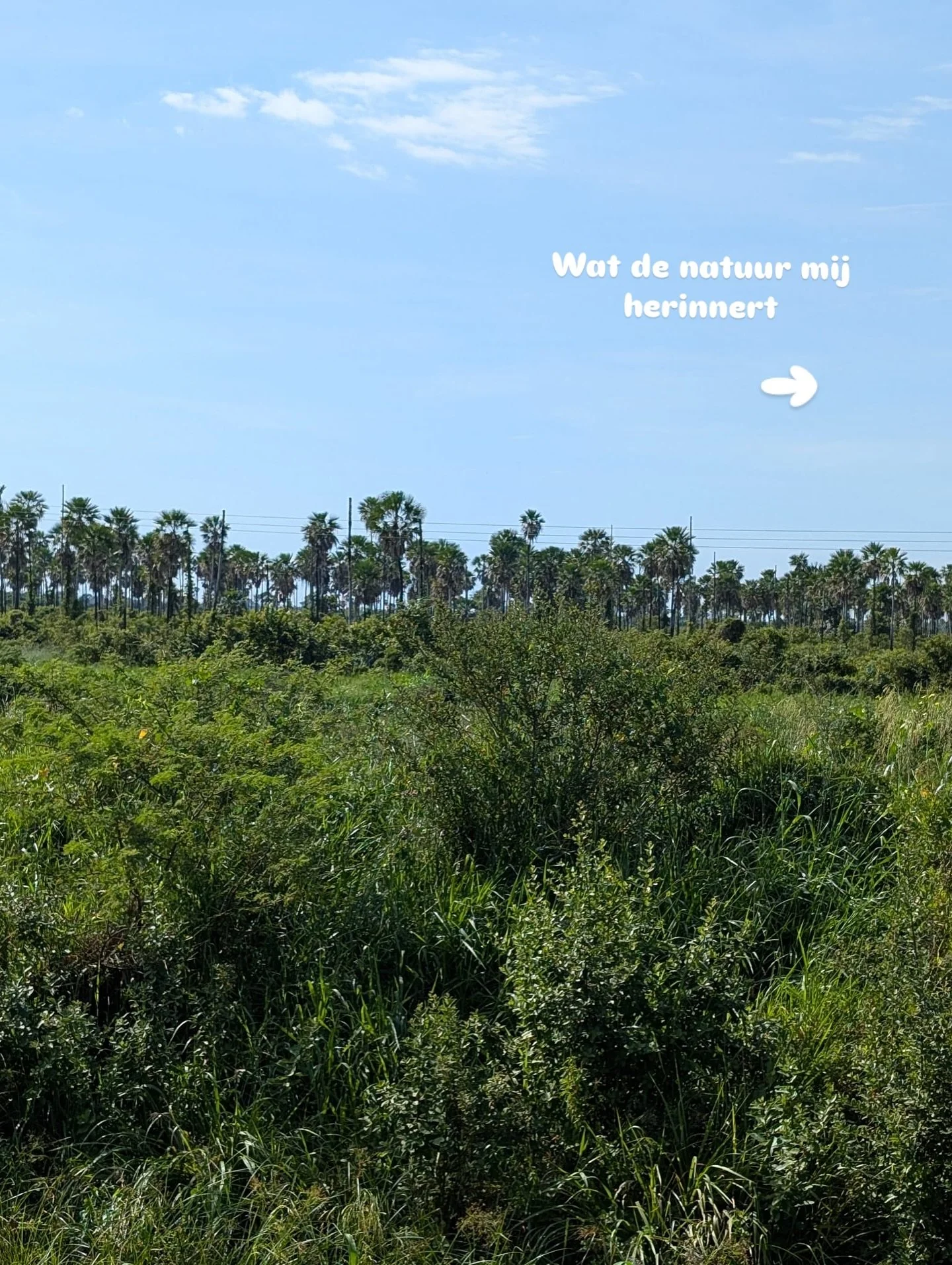 De natuur is wijs, en jij ook! 

-

#psycholoog #onlinepsycholoog #psychologie #natuurwijsheden #somatisch