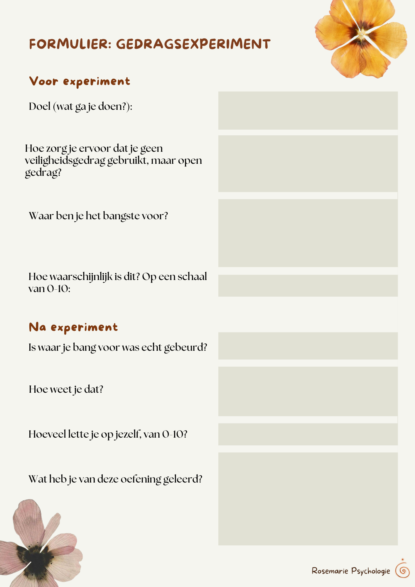 Formulier Gedragsexperiment.png