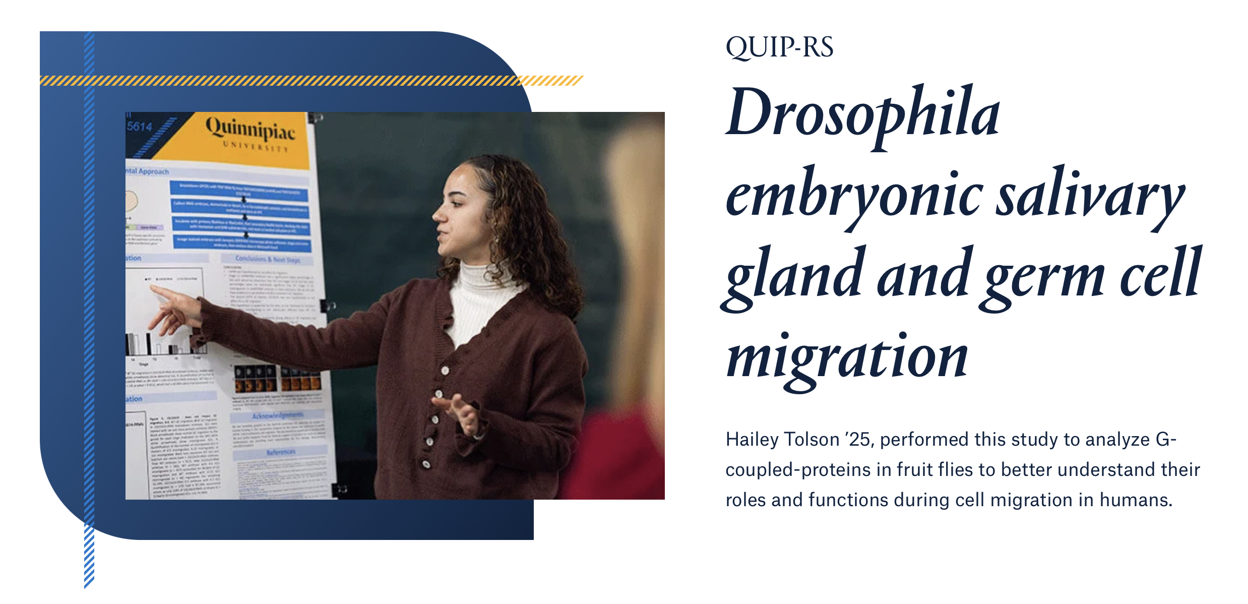 Screenshot of a Quinnipiac University student project page