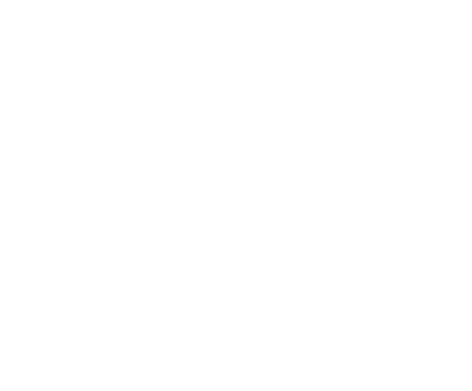 Puma Project 3