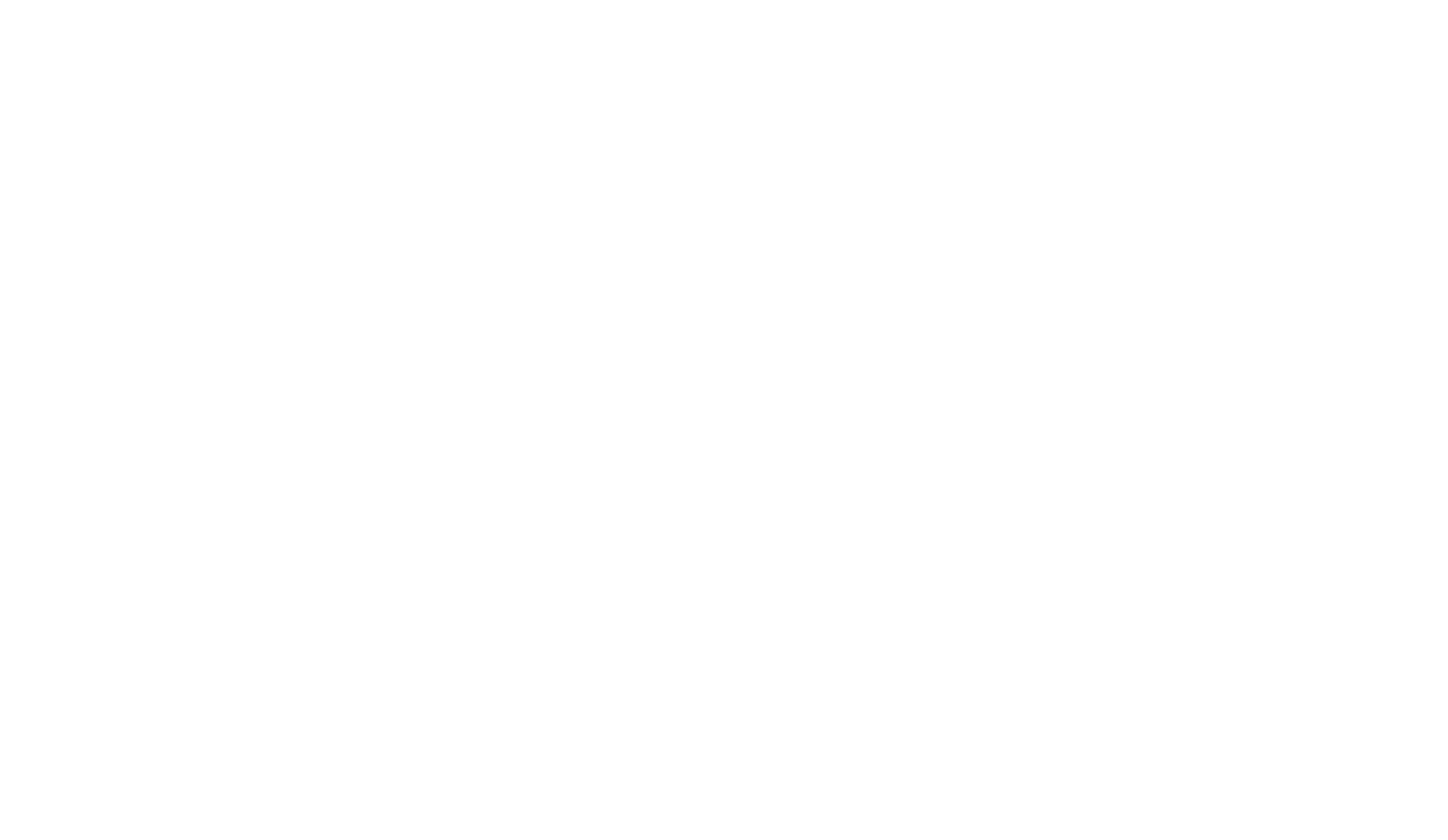 Black and white logo for Project 3 featuring a stylized globe with grid lines and a jumping puma, with the text 'PROJECT 3' across the center.