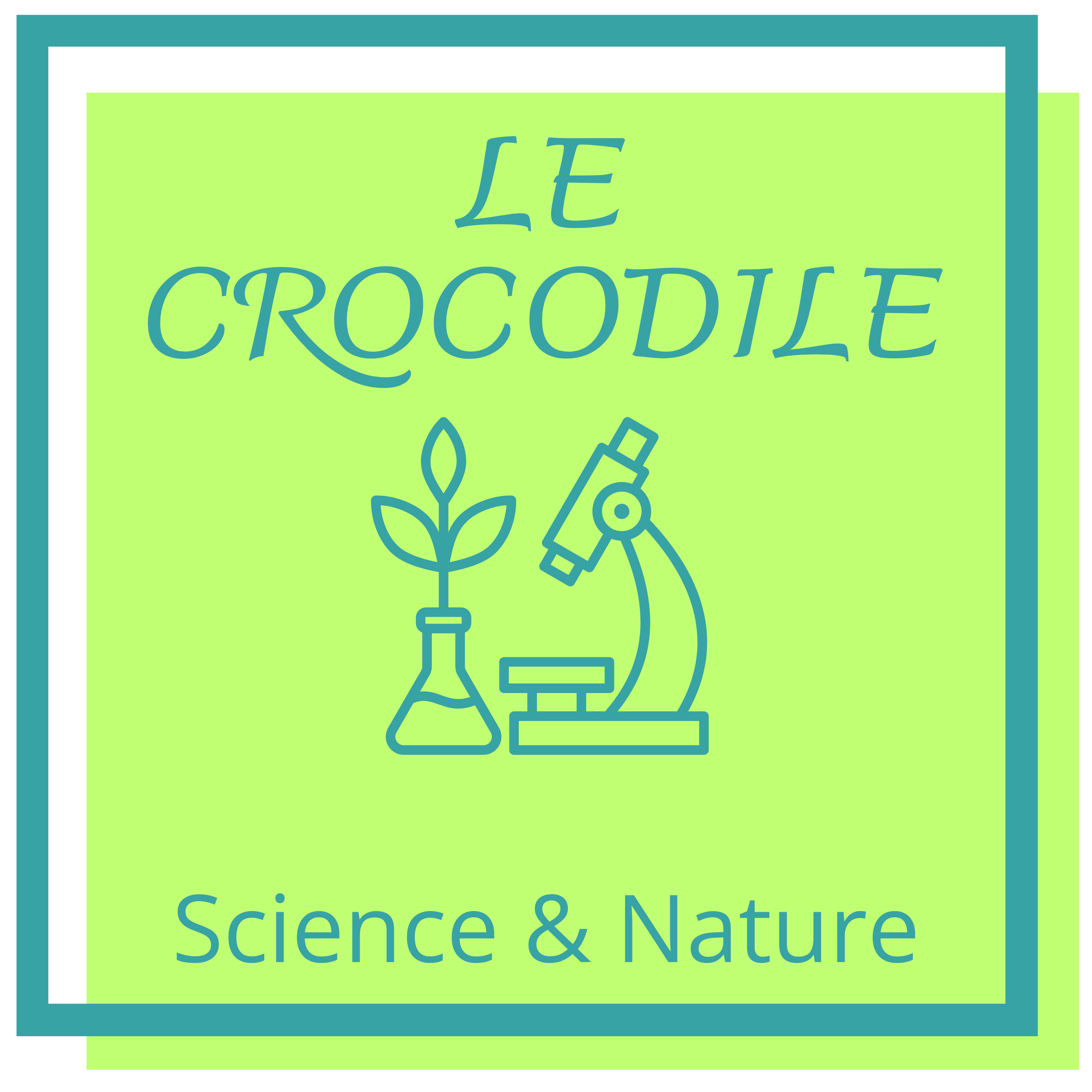 35 - Le Crocodile