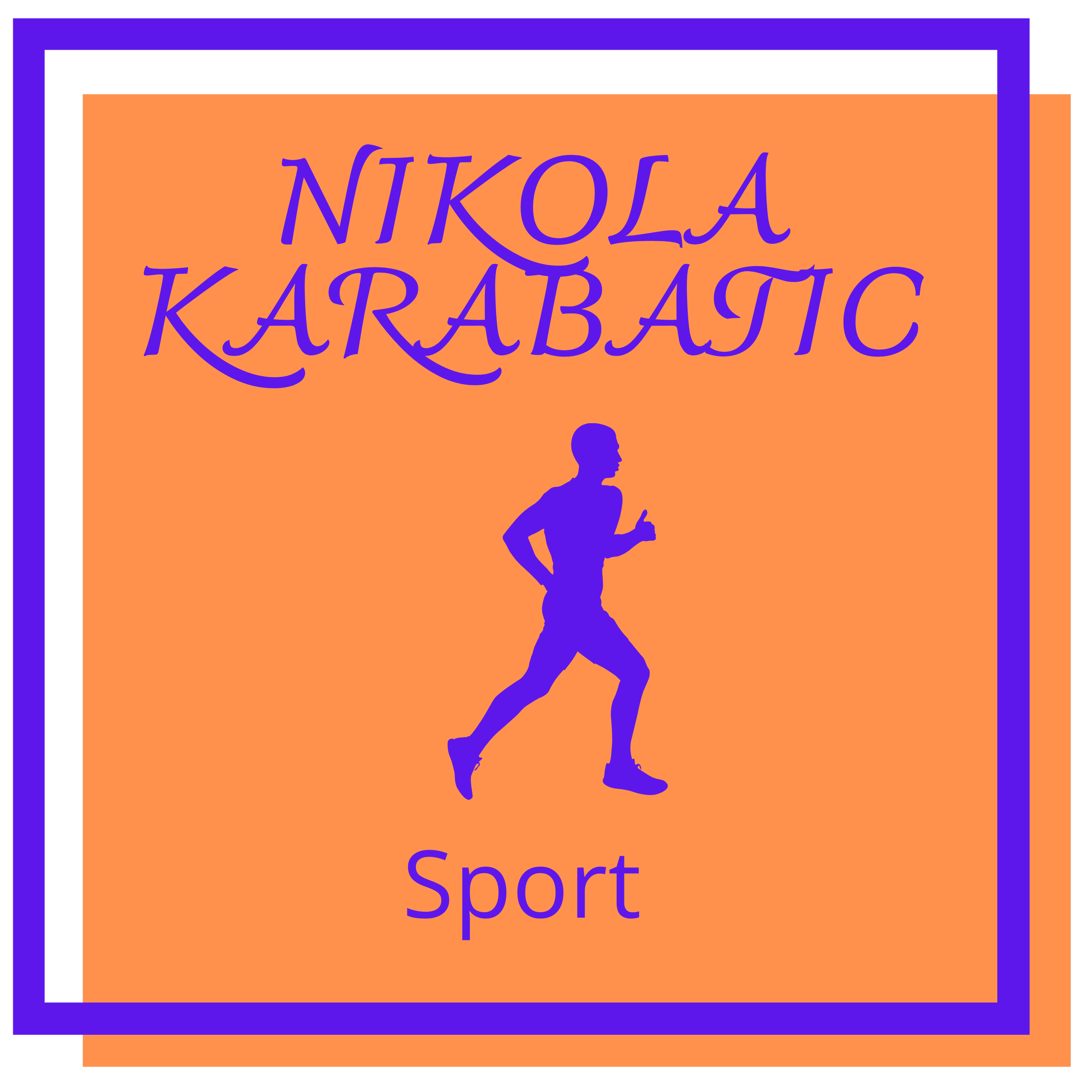 36 - Nikola Karabatic