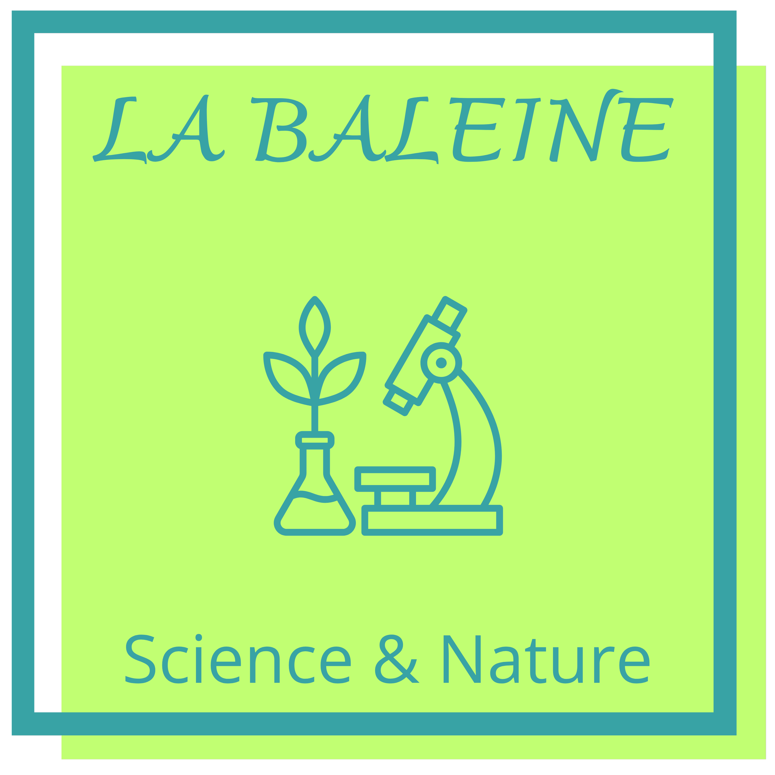 45 - La Baleine