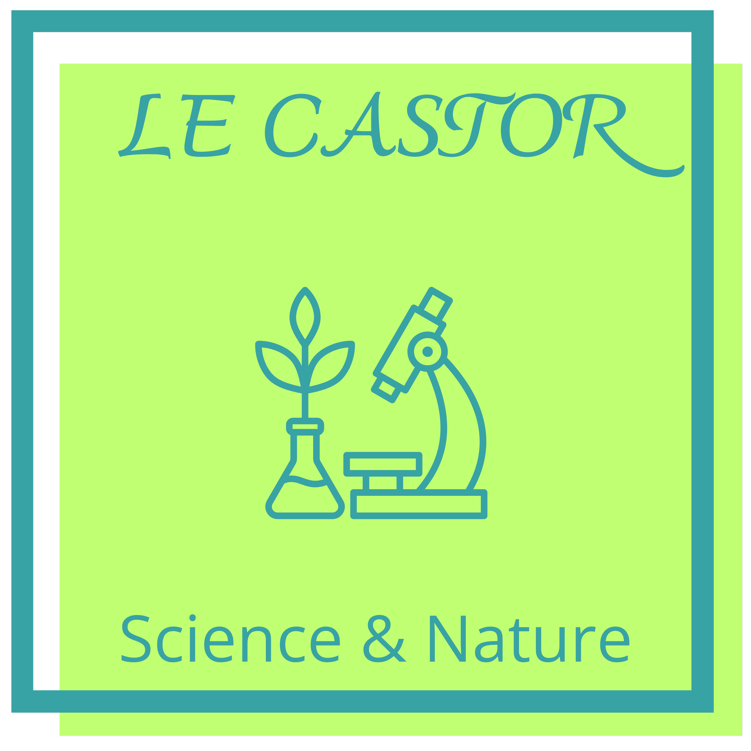 50 - Le Castor