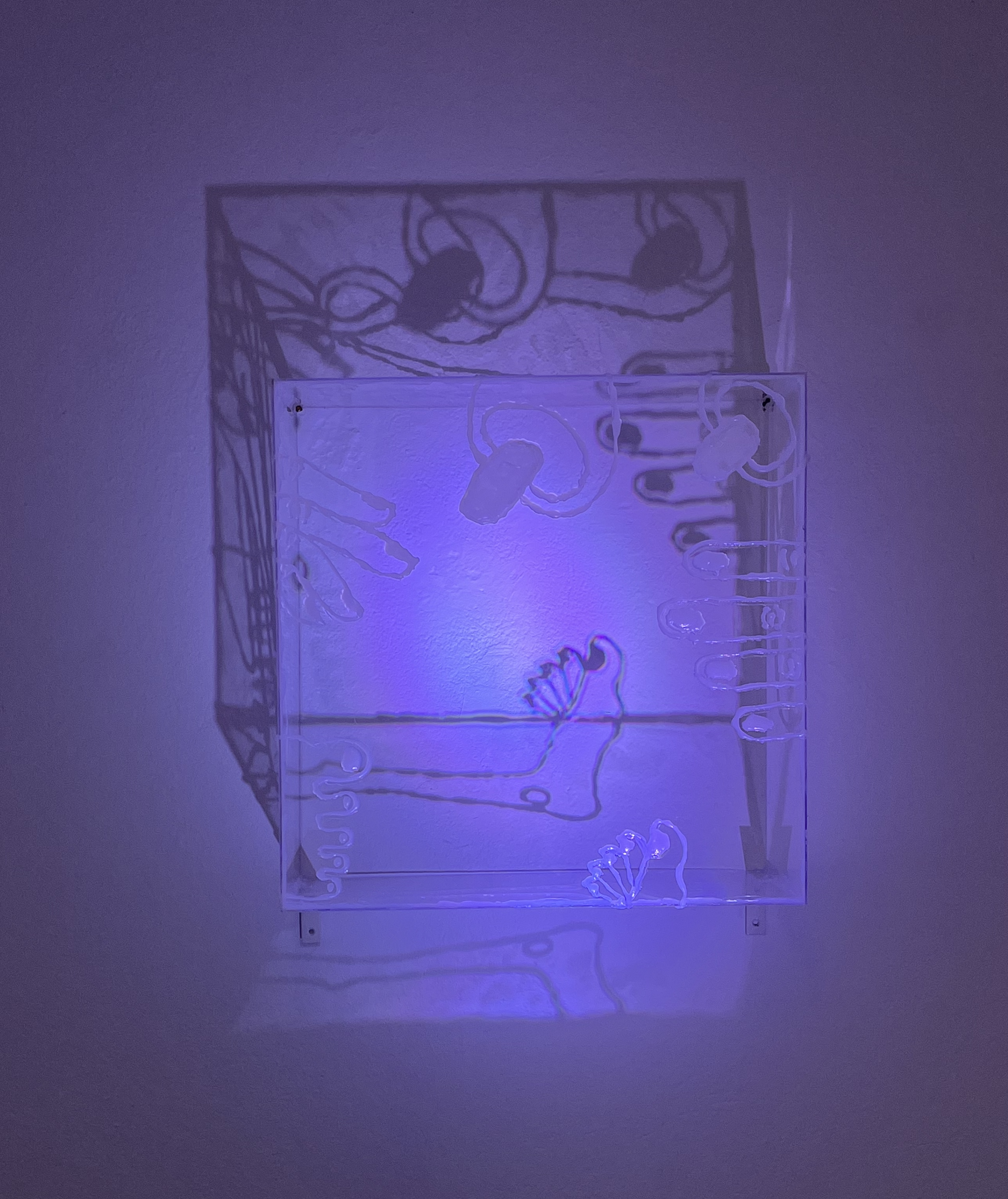 empty shoebox.png