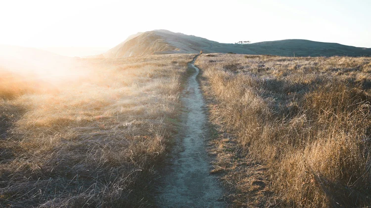 Path Forward Counseling LLC | Start Your Healing Journey Today