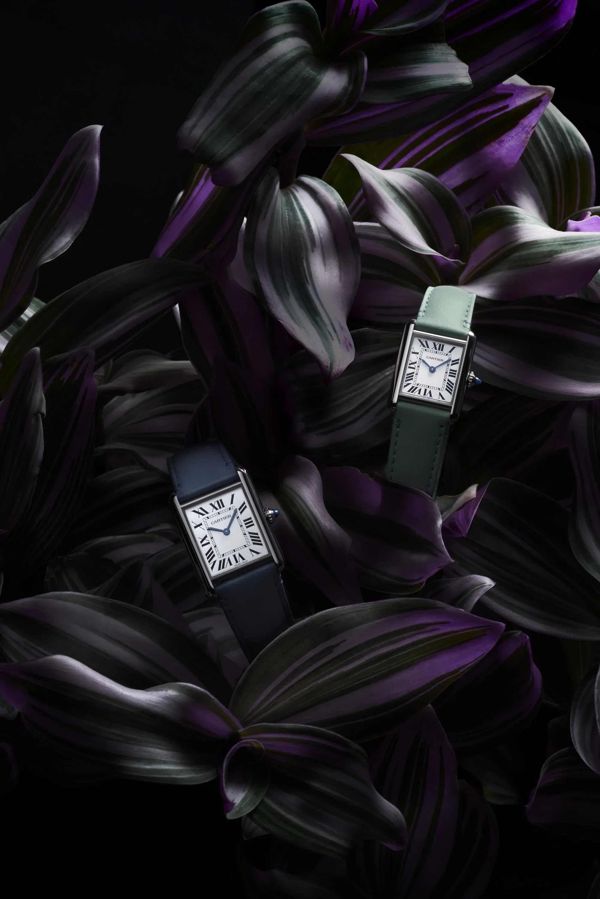 Cartier Fauna_2.webp