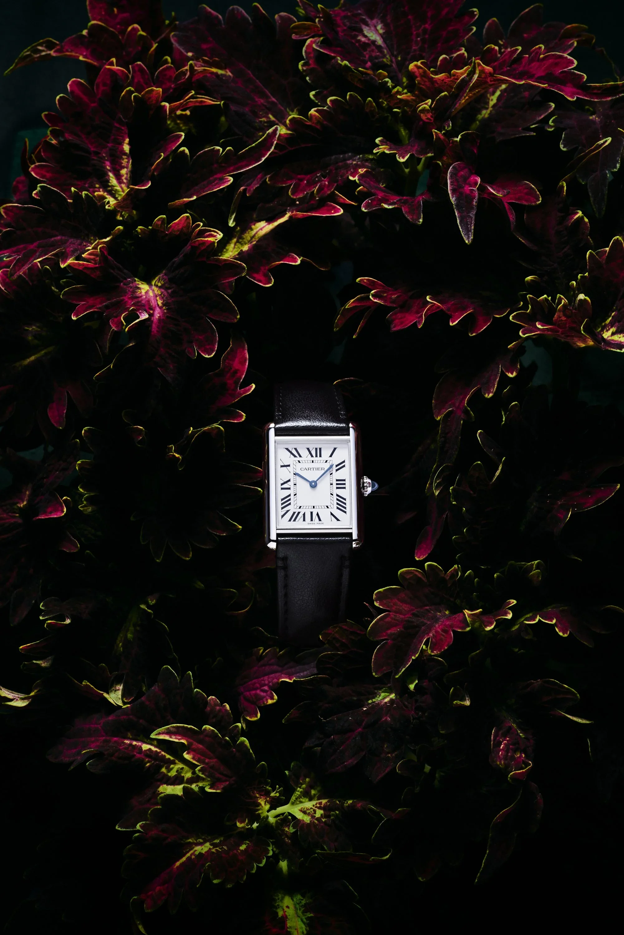 Cartier Fauna_5.webp