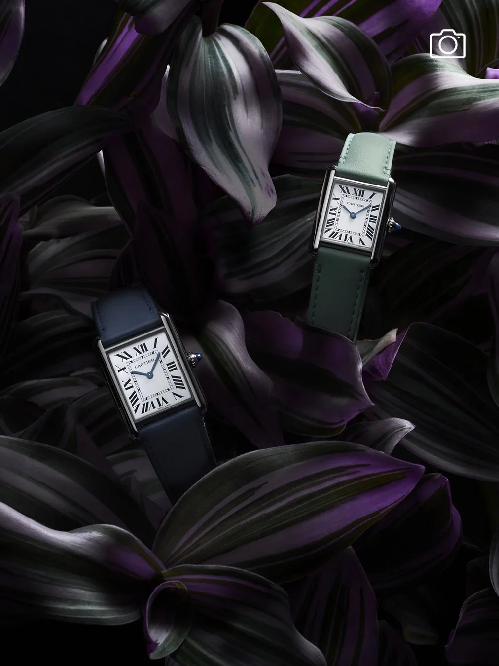 Cartier Fauna