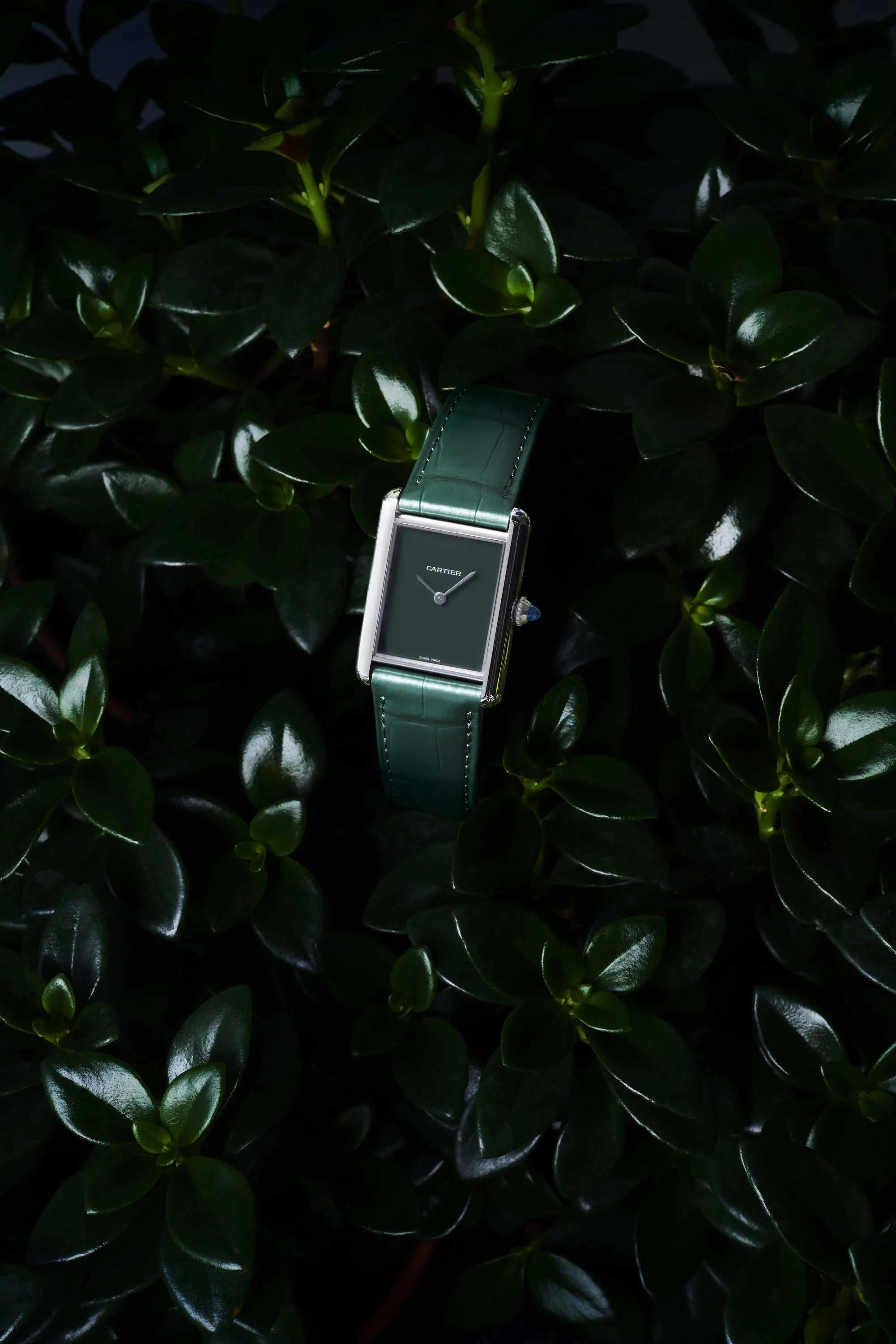 Cartier Fauna_4.webp