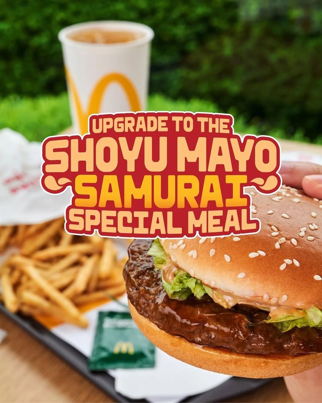 MCD Samurai 4.jpg