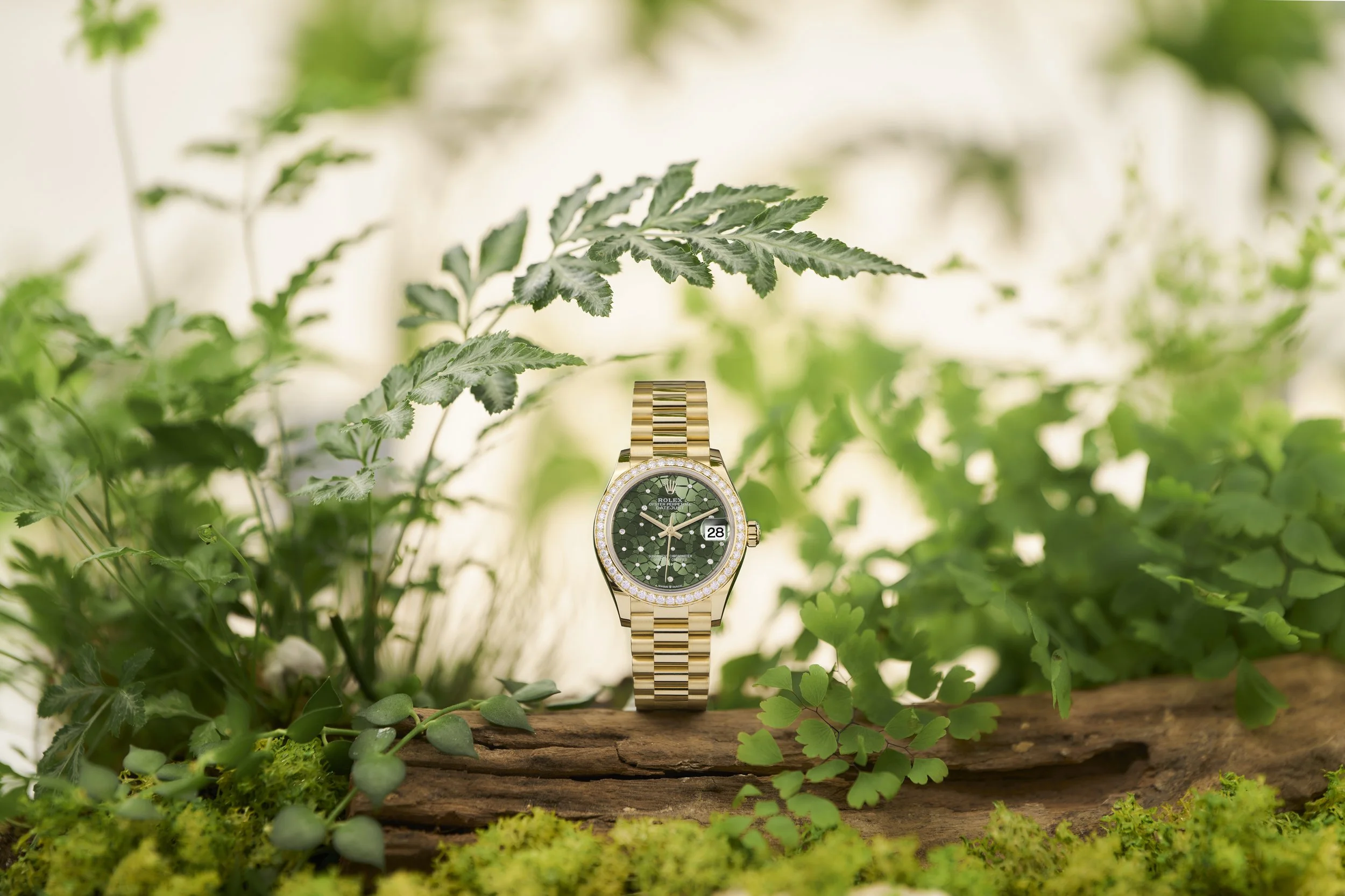 Datejust 31 Yellow Gold 01_V5.jpg