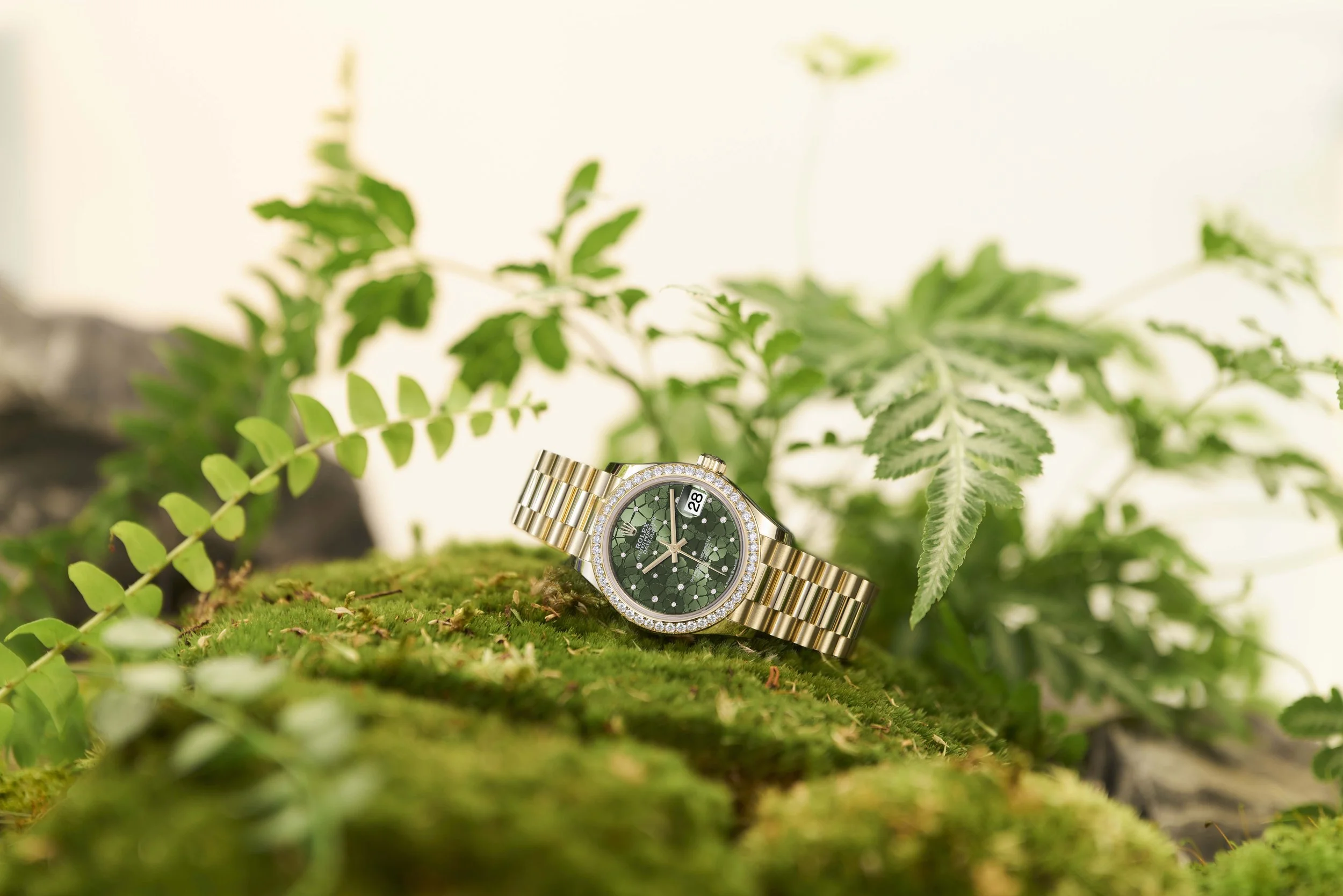 Datejust 31 Yellow Gold 02_V5.jpg