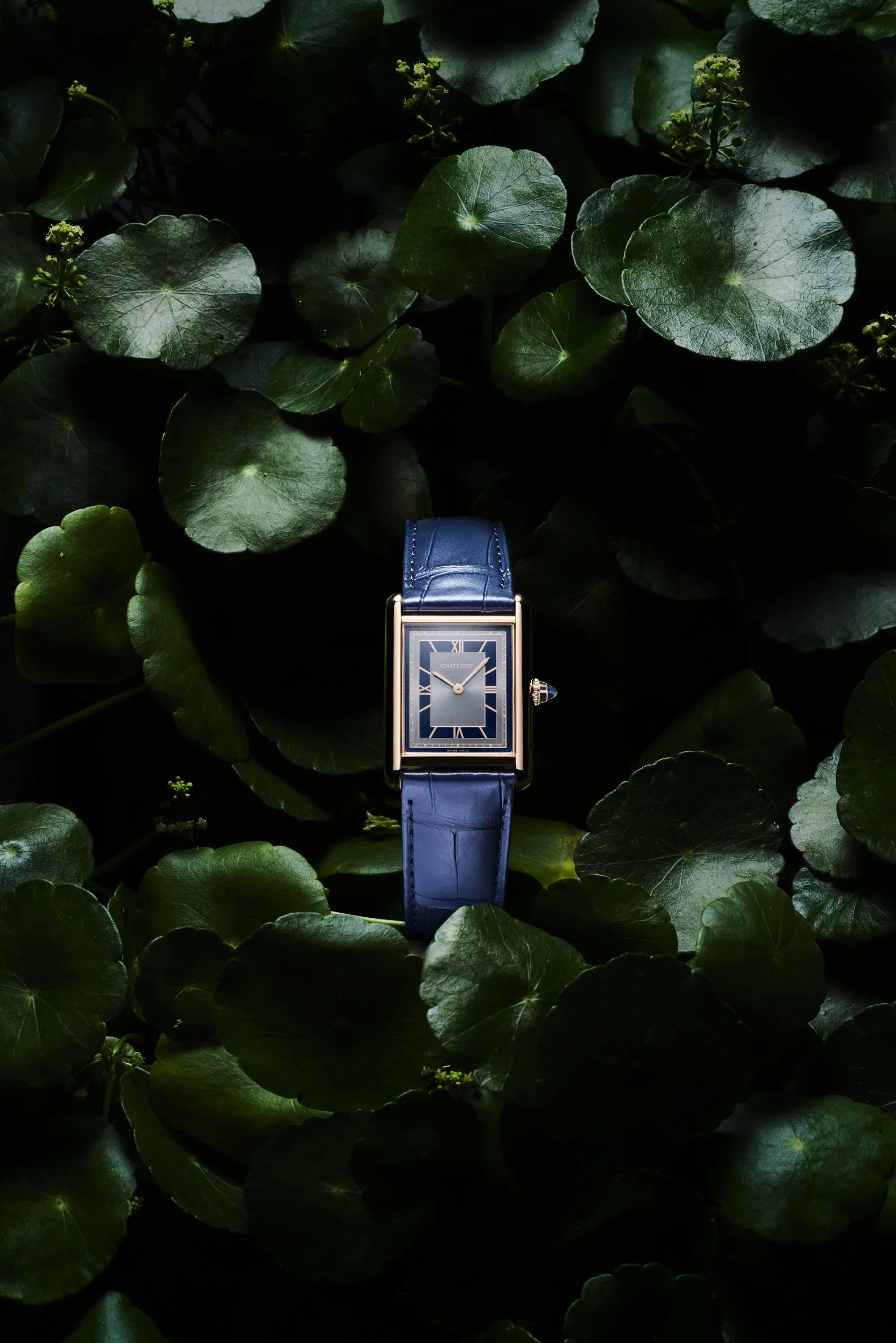 Cartier Fauna_6.webp