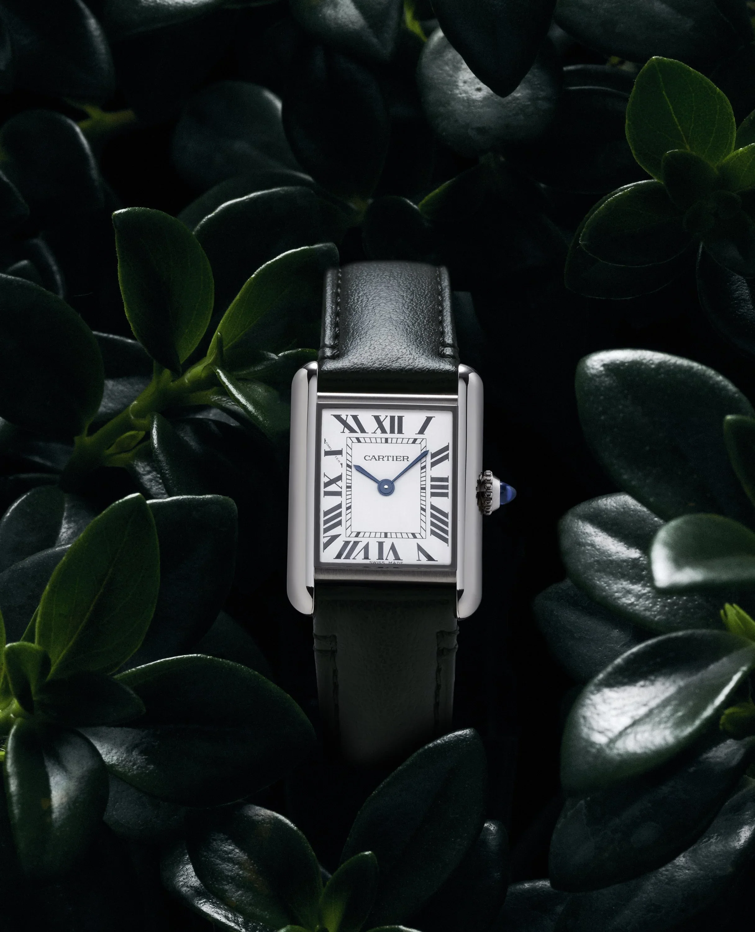 Cartier Fauna_1.webp