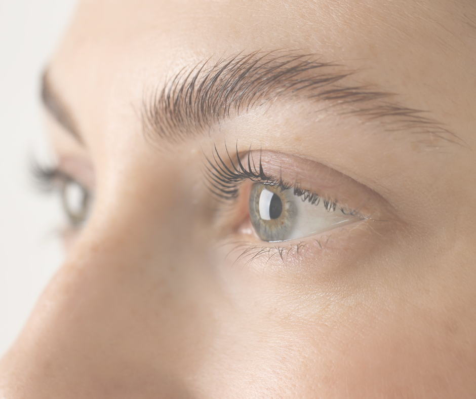 Brows and lashes perth
