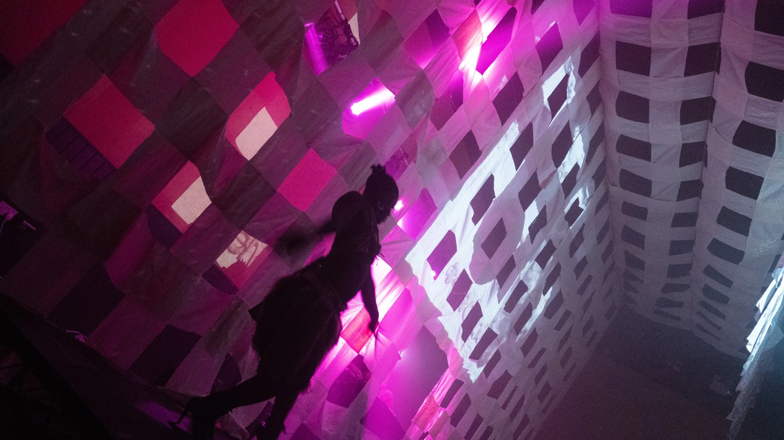 Sensorial Pink Dancer 2.jpg