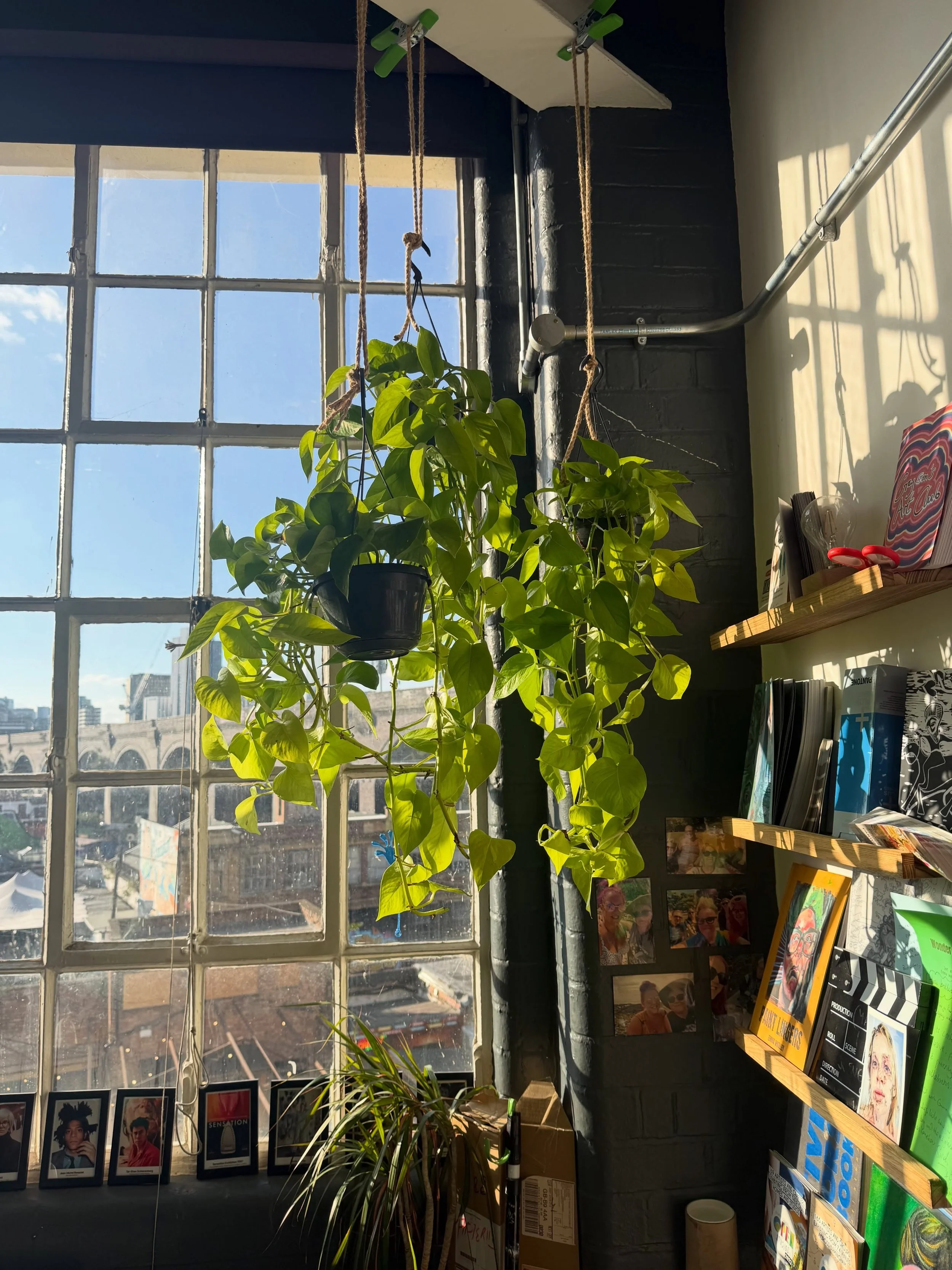 We are so happy with our new hanging jungle! Thanks @thejungleclubbirmingham 😎🤌💚✨✨