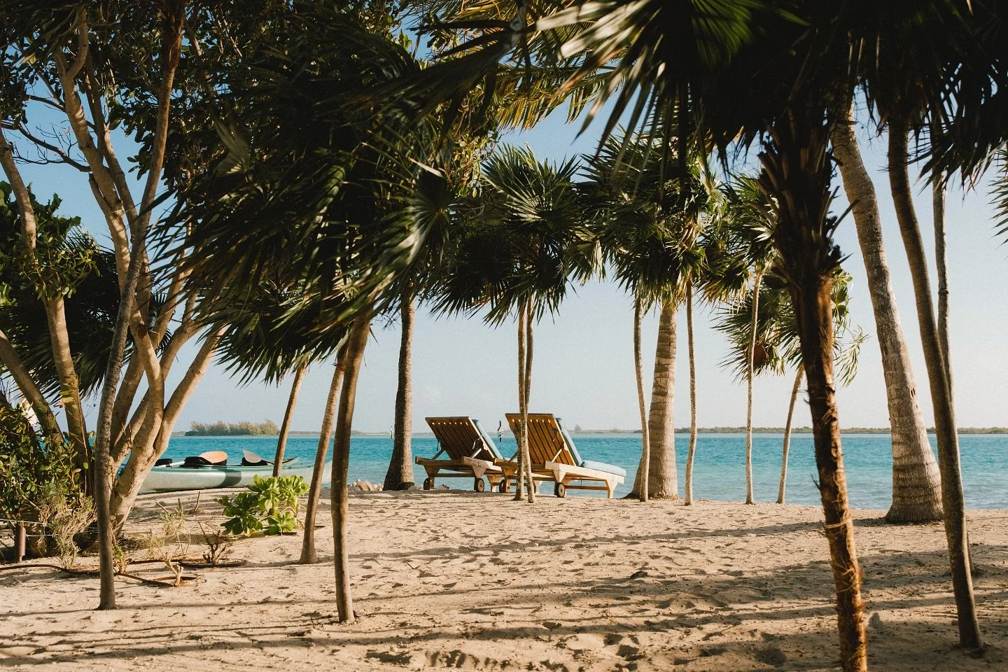 TheCatchVilla.com 

Reservations@ihlvm.com

#luxurytravel #villa #turksandcaicos #gracebaybeach
#Villarental #luxuryvilla #vacationrental #poolside #privatevilla #rentalproperty #luxuryrealestate #aironb #travel #familyvacation #beach #beachvacay #be